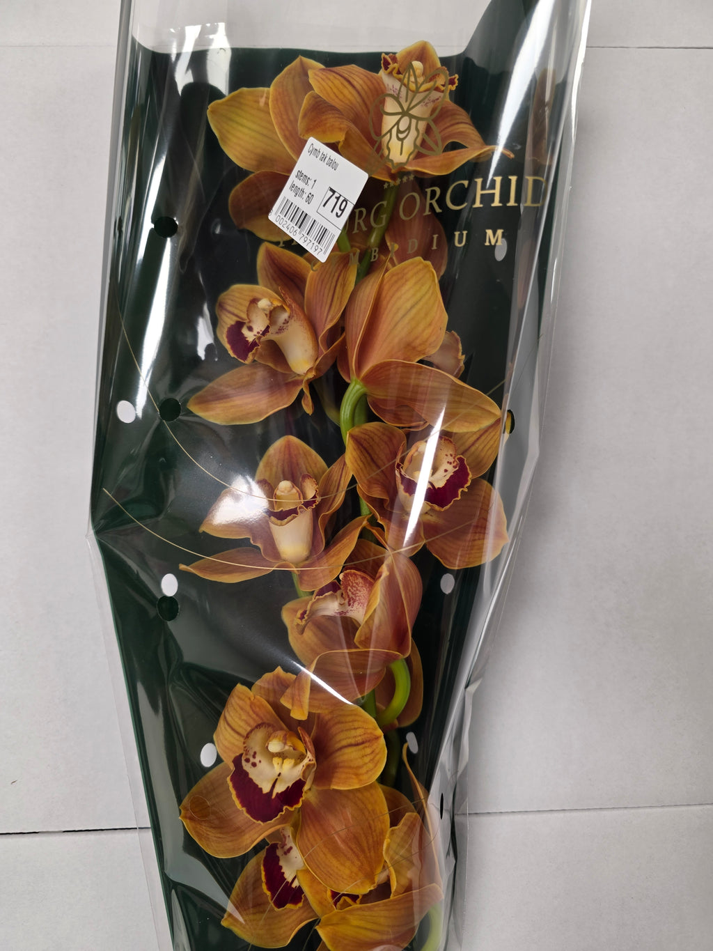 Farm Fresh Orchid/Cymbidium Tak Balou (Bunch of 1 stems, Length 60cm)