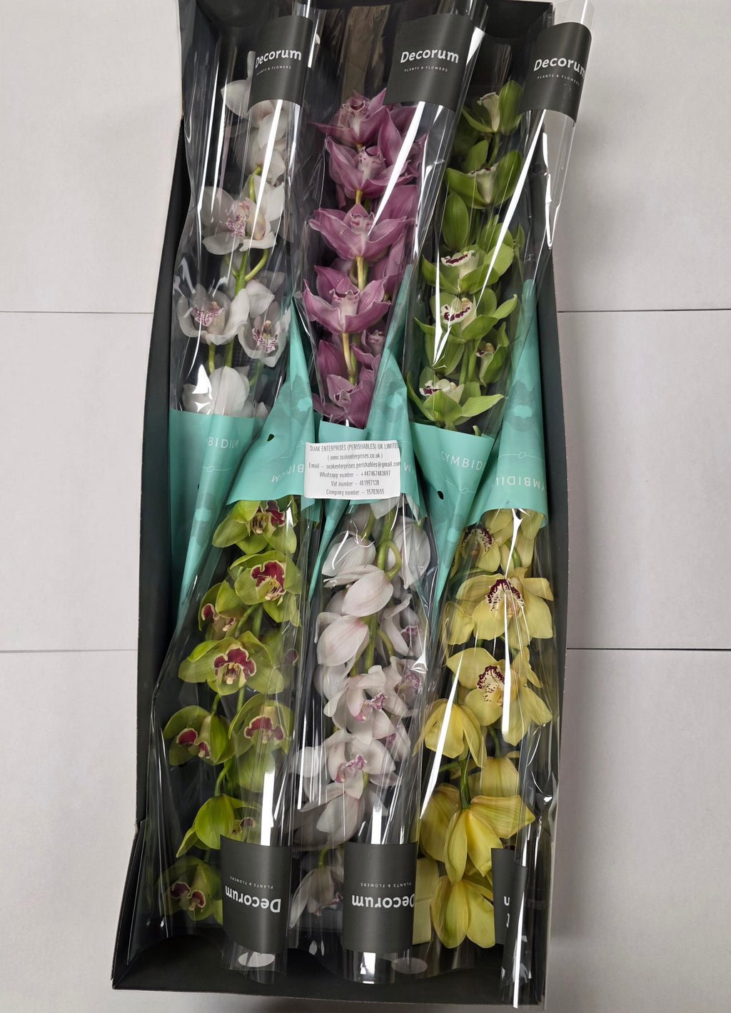 Farm Fresh Orchid/Cymbidium Tak Mix By Box (Box of 9 stems, Length 80cm)