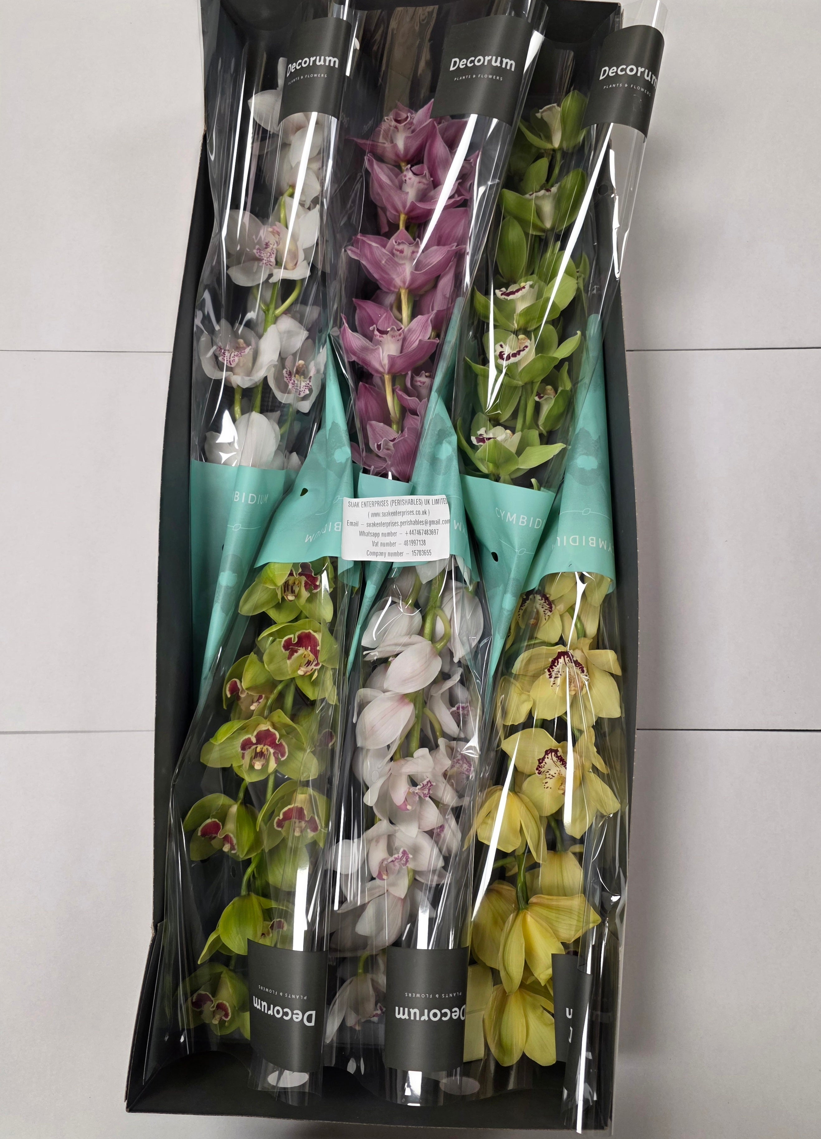 Farm Fresh Orchid/Cymbidium Tak Mix By Box (Box of 9 stems, Length 80cm)