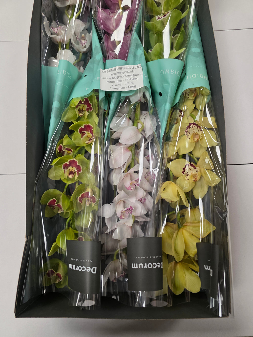 Farm Fresh Orchid/Cymbidium Tak Mix By Box (Box of 9 stems, Length 80cm)