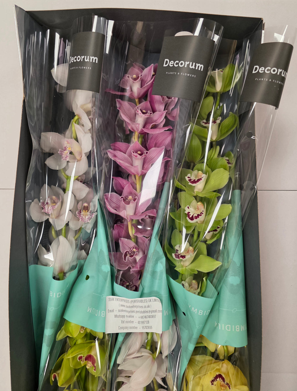 Farm Fresh Orchid/Cymbidium Tak Mix By Box (Box of 9 stems, Length 80cm)