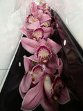 Farm Fresh Orchid/Cymbidium Tak Power (Bunch of 1 stems, Length 80cm)