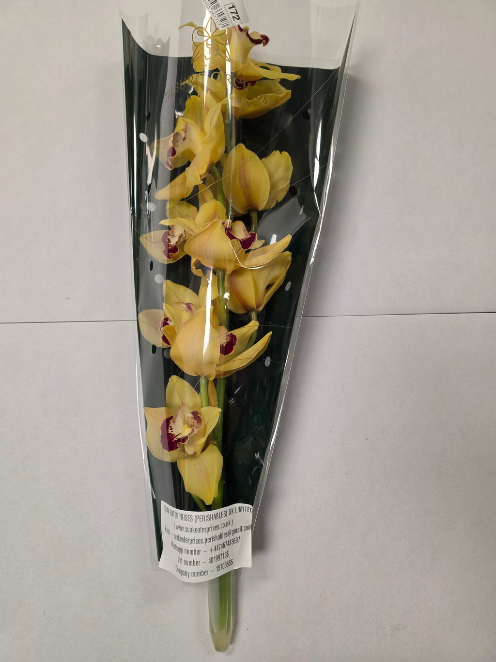Farm Fresh Orchid/Cymbidium Tak Simba (Bunch of 1 stems, Length 60cm)
