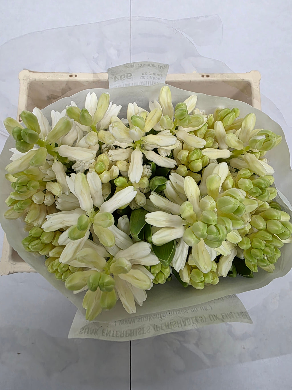 Farm Fresh Hyacinthus Orientalis Aiolos (Bunch of 25stems, Length 30cm)