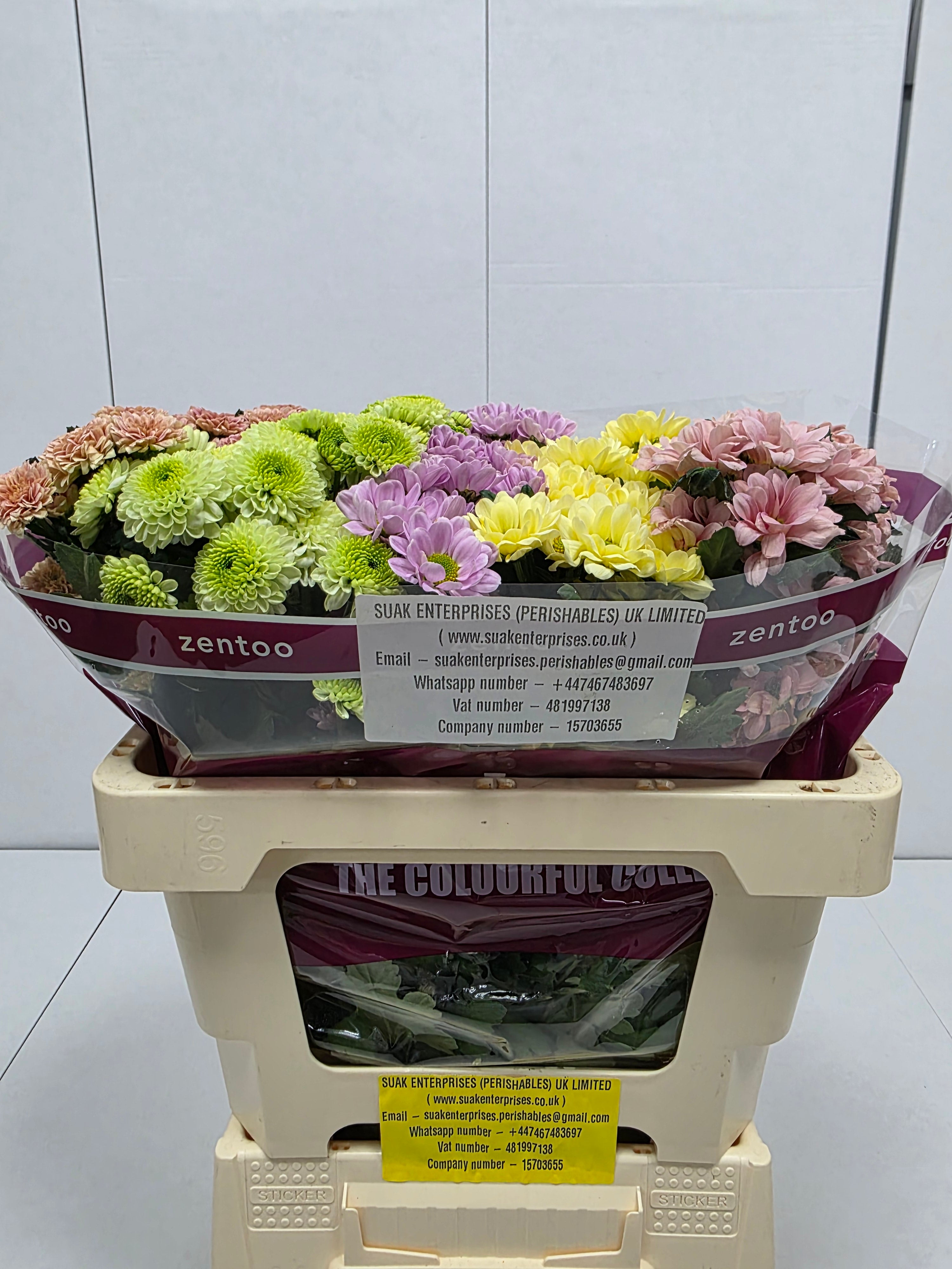 Farm Fresh Santini Blush Mix (Bunch of 25 stems, Length 55cm)