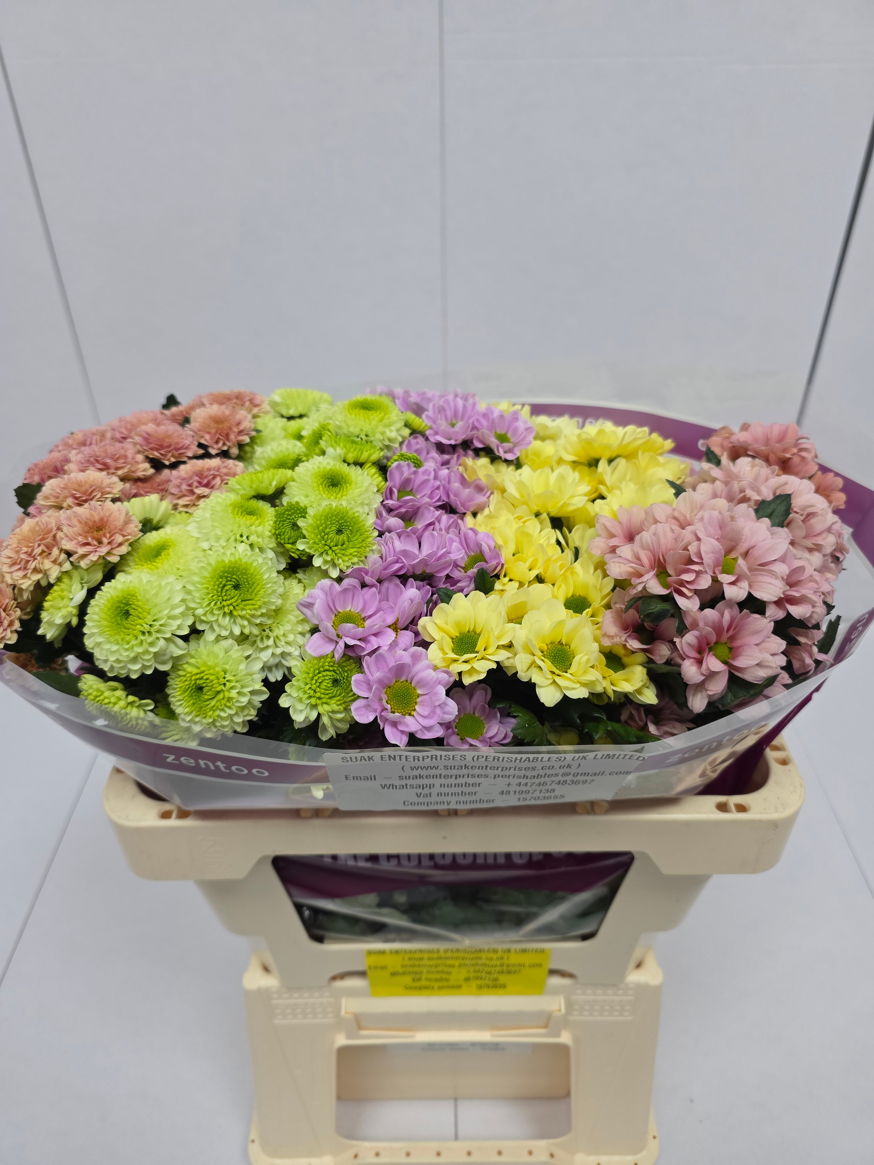 Farm Fresh Santini Blush Mix (Bunch of 25 stems, Length 55cm)