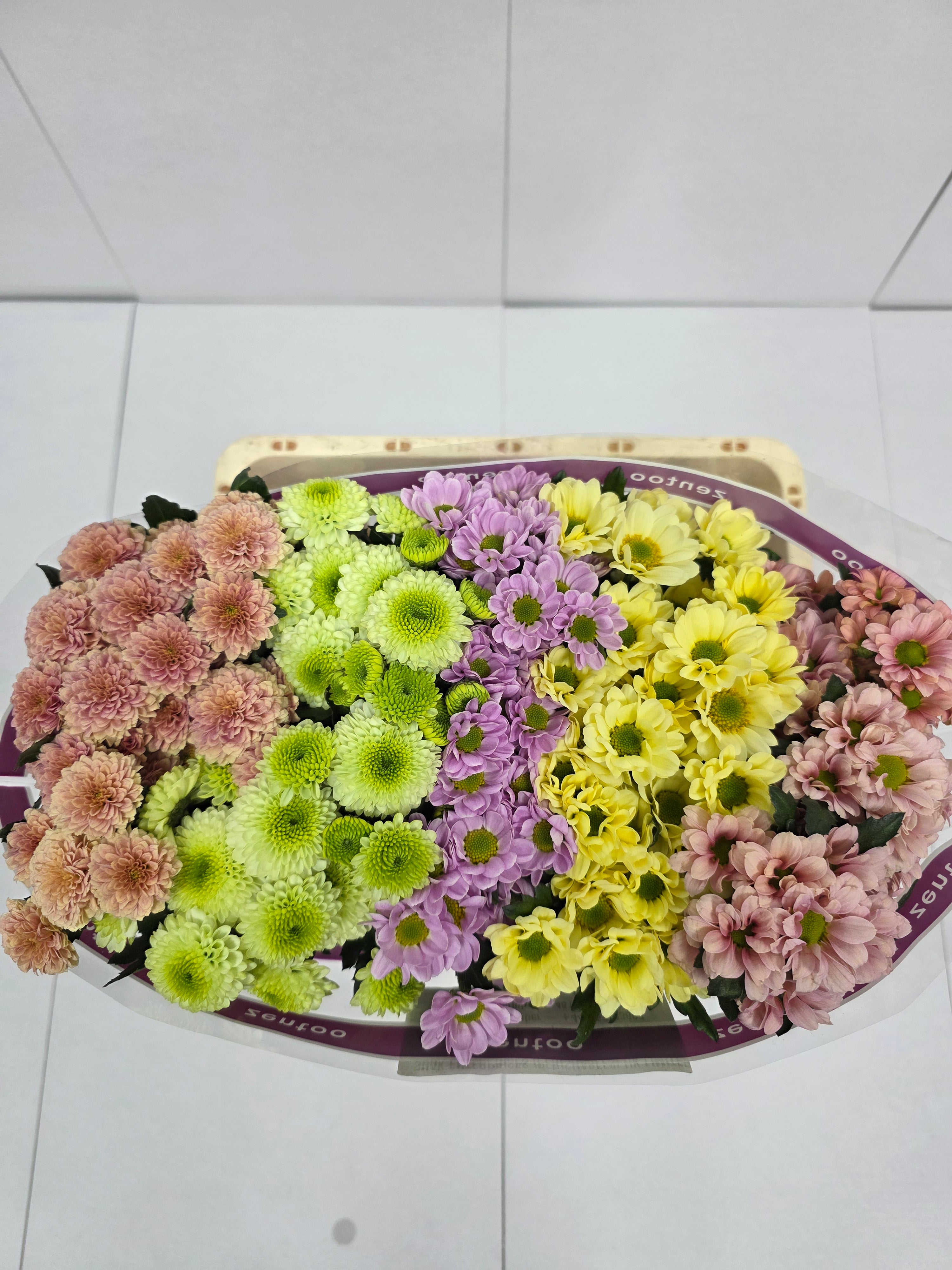 Farm Fresh Santini Blush Mix (Bunch of 25 stems, Length 55cm)