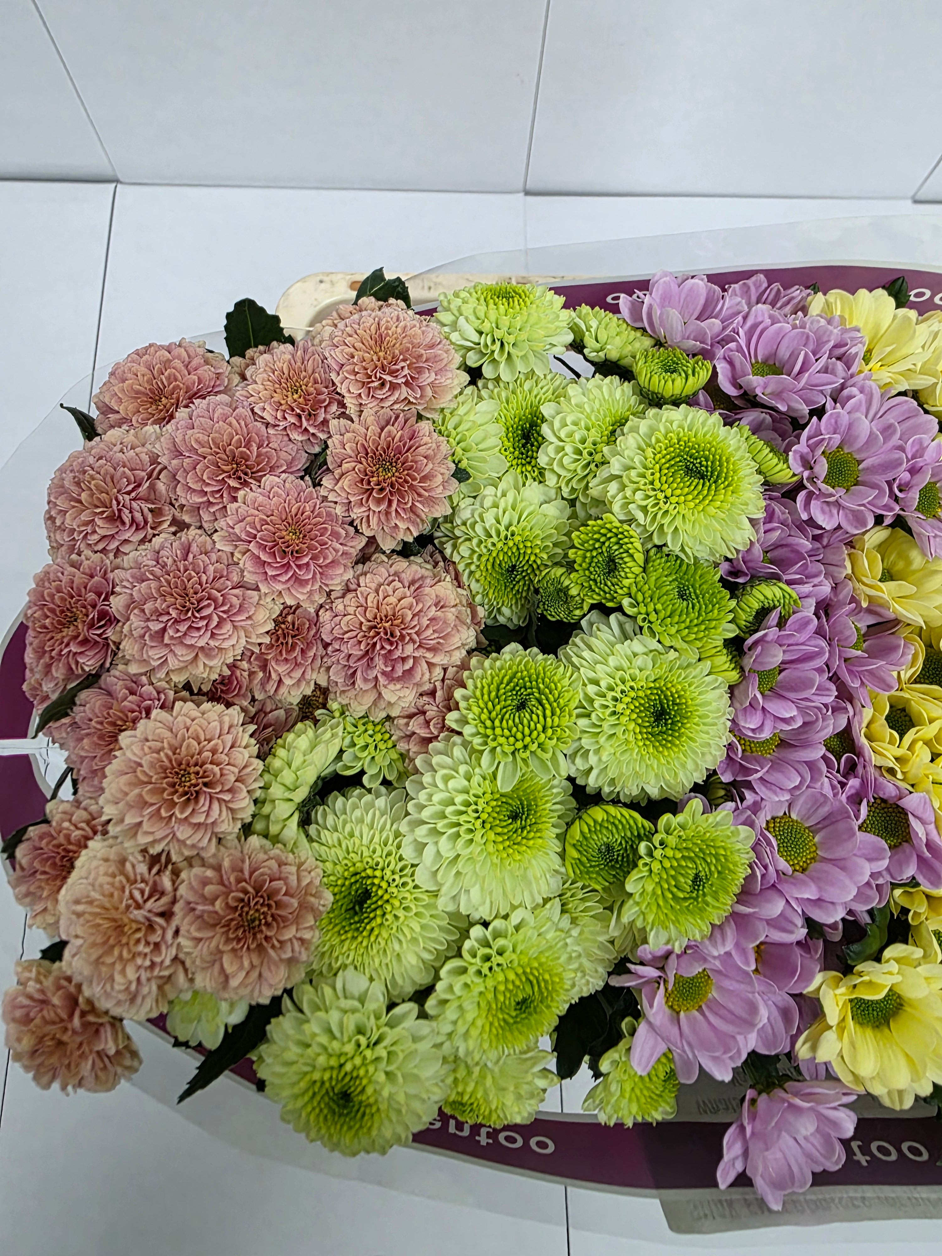 Farm Fresh Santini Blush Mix (Bunch of 25 stems, Length 55cm)