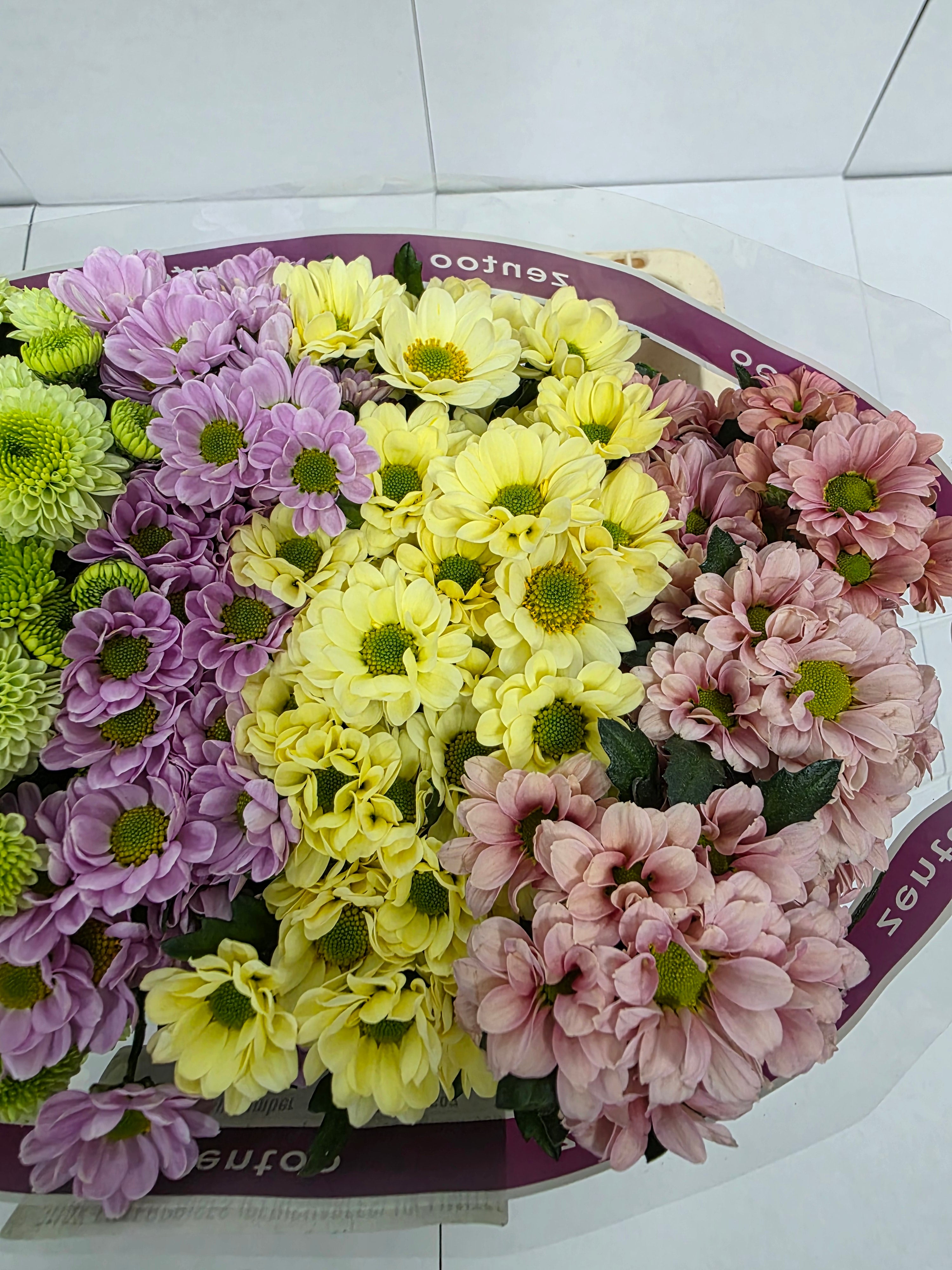 Farm Fresh Santini Blush Mix (Bunch of 25 stems, Length 55cm)