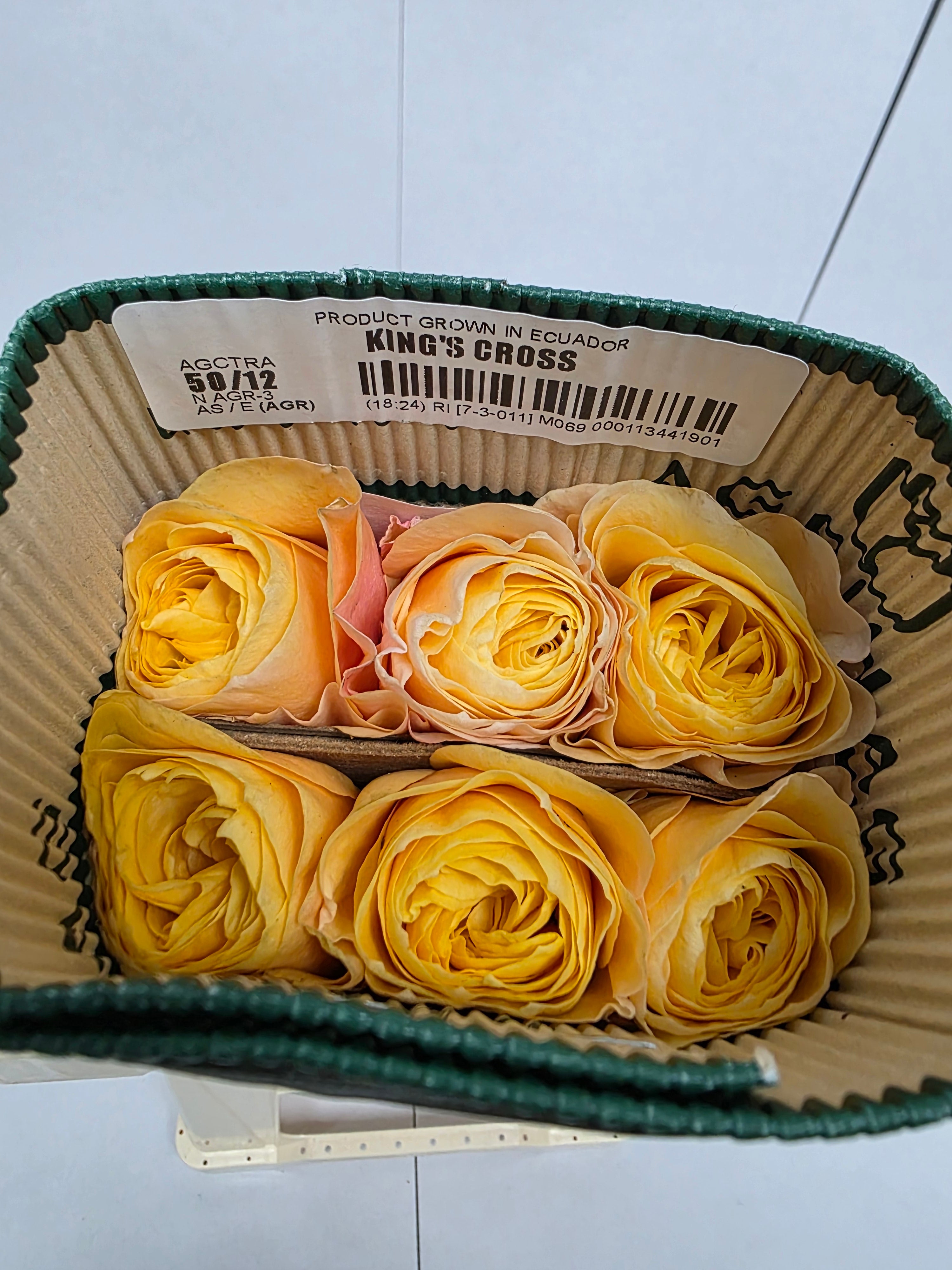 Farm Fresh Rosa Ecuadorian Garden Kings Cross (Bunch of 12 stems, Length 50cm)