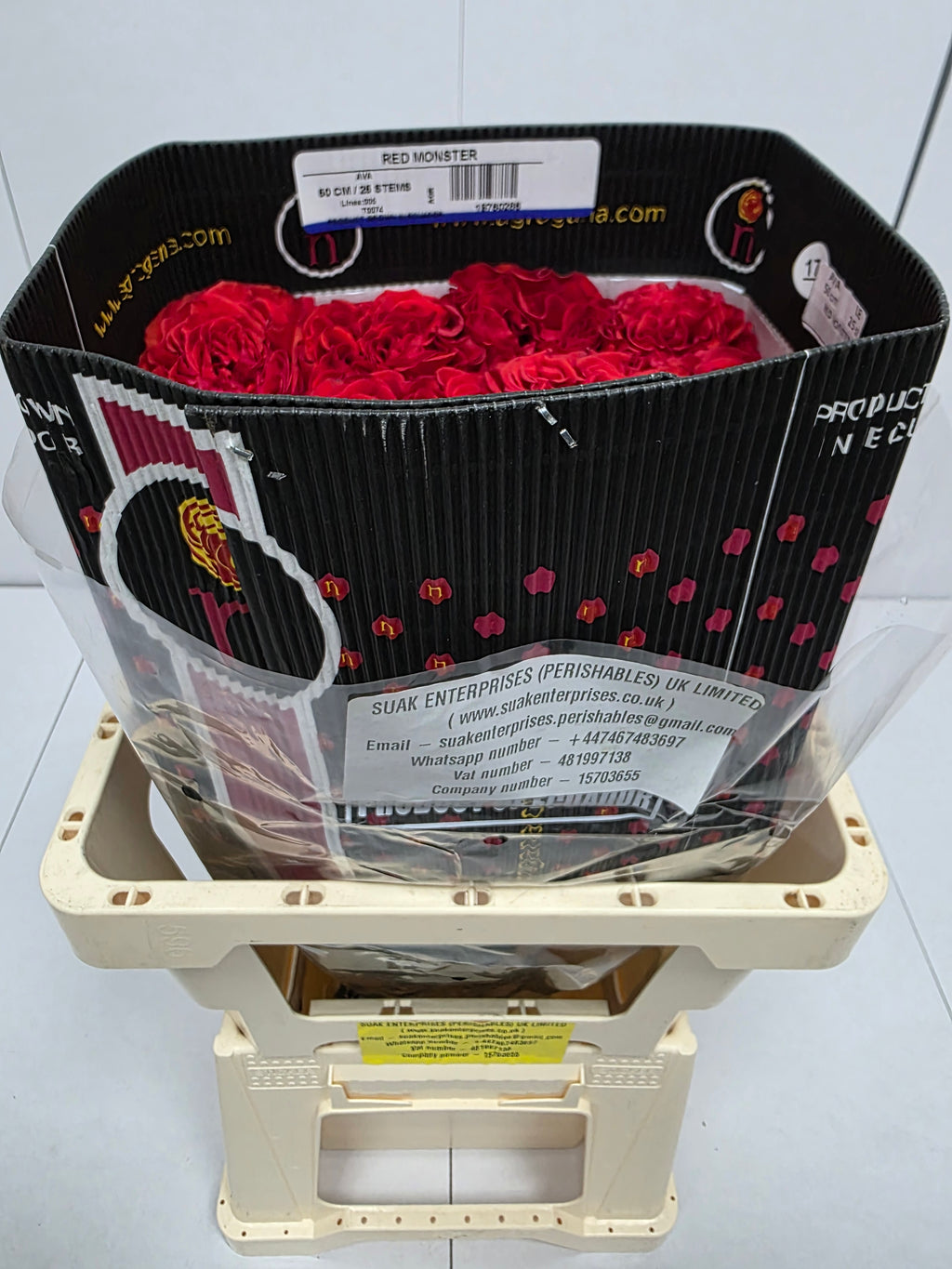 Farm Fresh Rosa Ecuadorian Garden Red Monster (Bunch of 25 stems, Length 50cm)