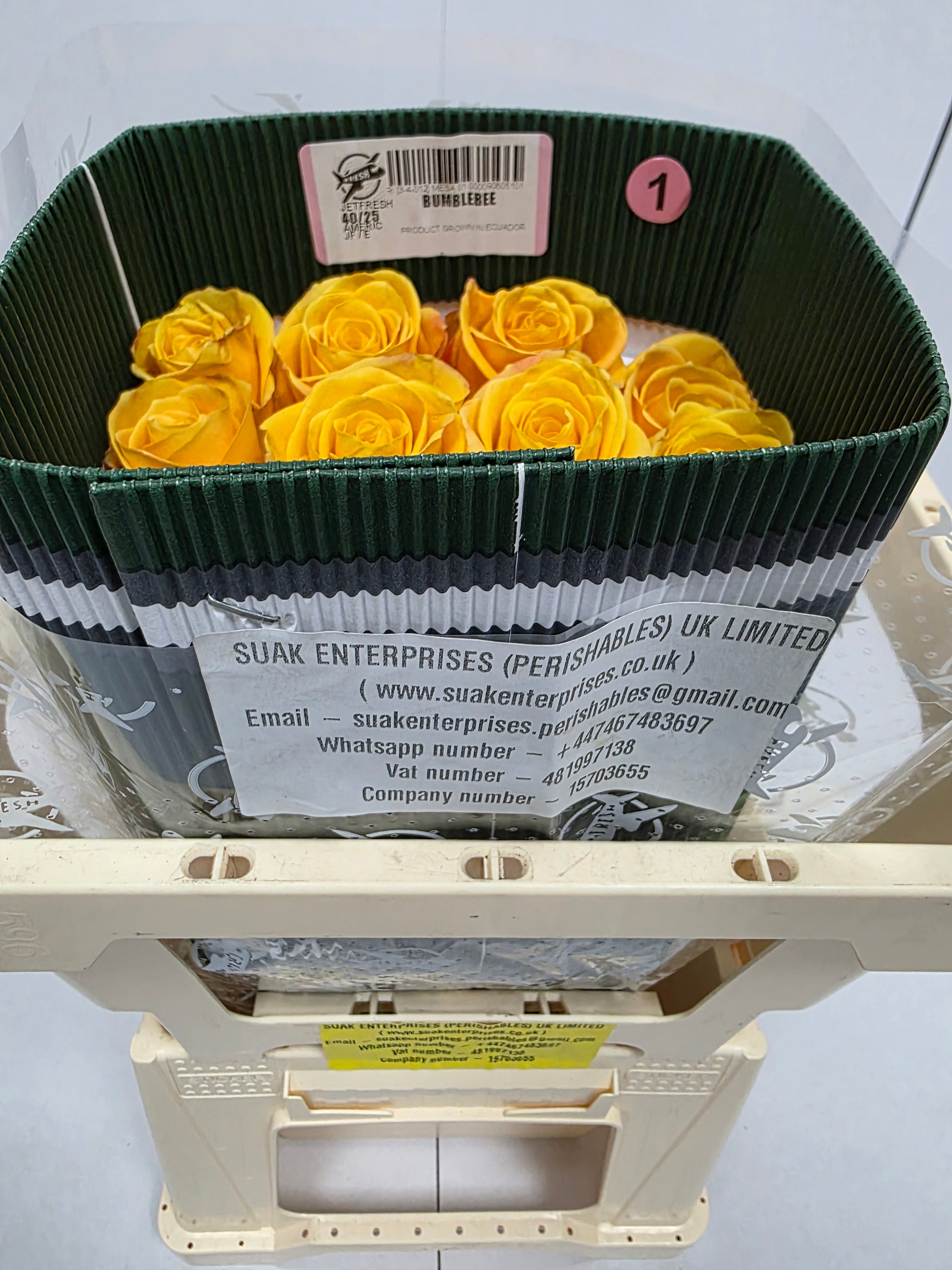Farm Fresh Rosa Ecuadorian Gr Bumblebee (Bunch of 25 stems, Length 40cm)