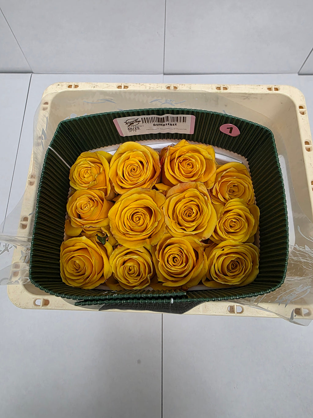 Farm Fresh Rosa Ecuadorian Gr Bumblebee (Bunch of 25 stems, Length 40cm)
