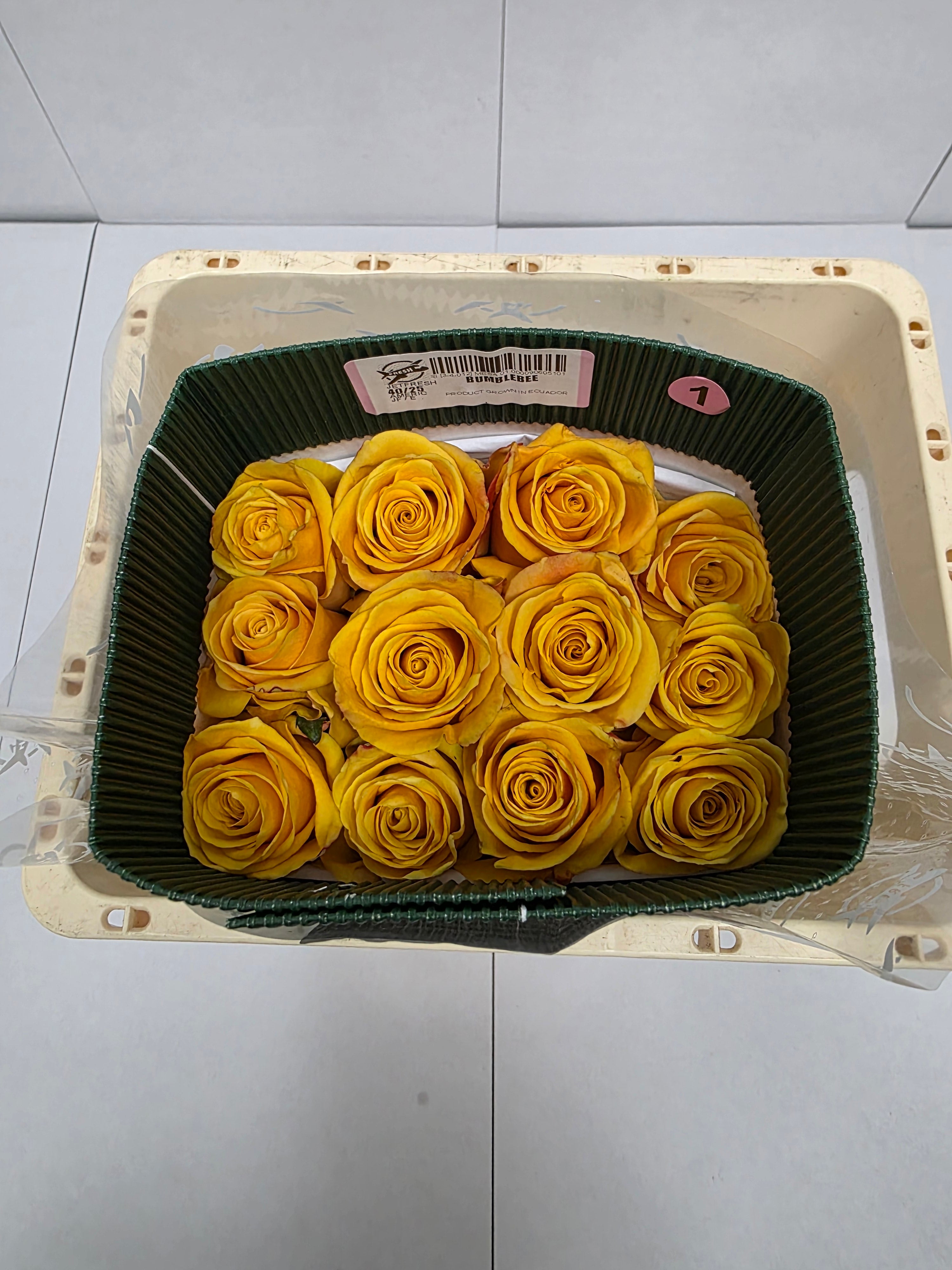 Farm Fresh Rosa Ecuadorian Gr Bumblebee (Bunch of 25 stems, Length 40cm)