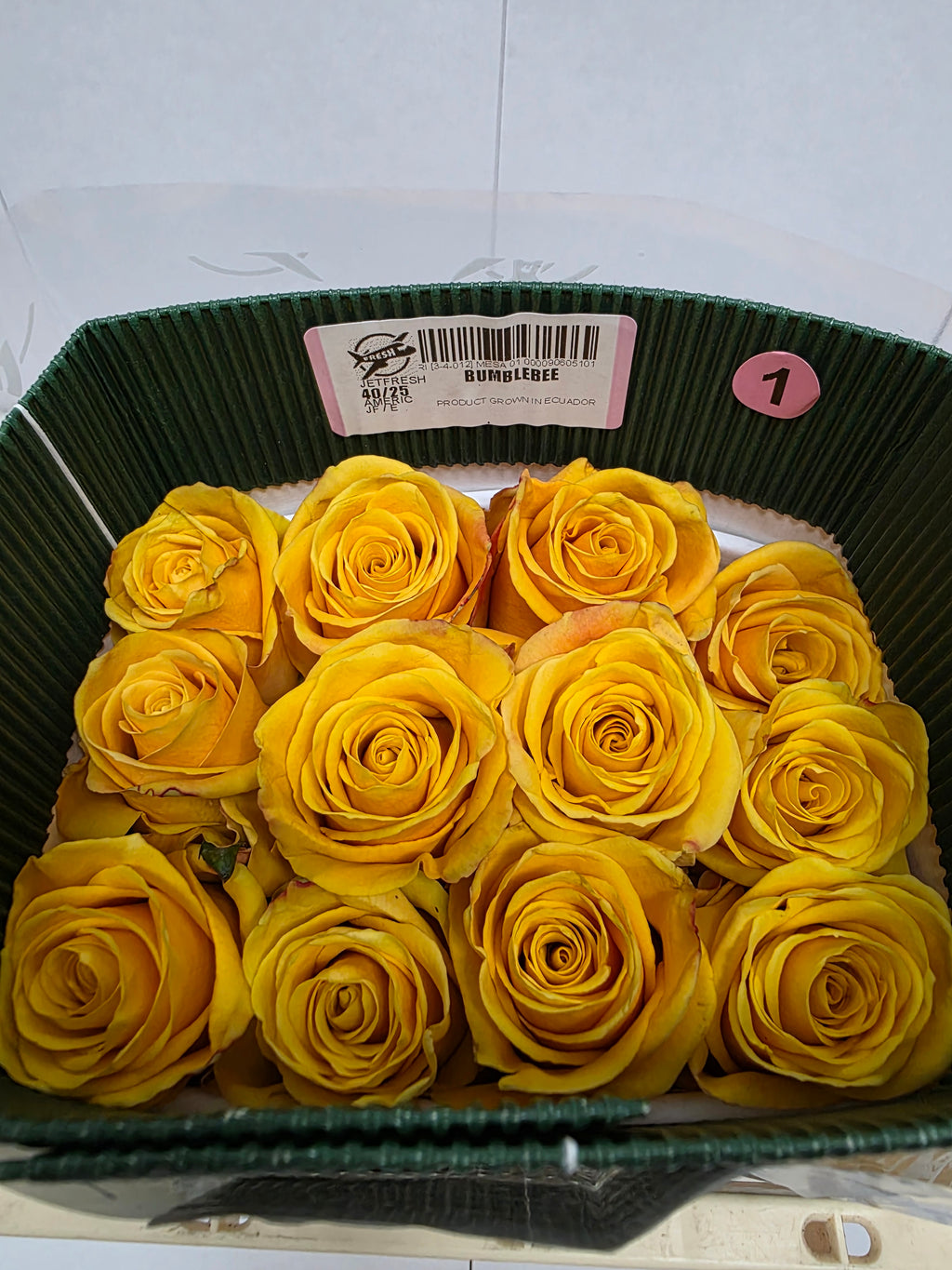 Farm Fresh Rosa Ecuadorian Gr Bumblebee (Bunch of 25 stems, Length 40cm)