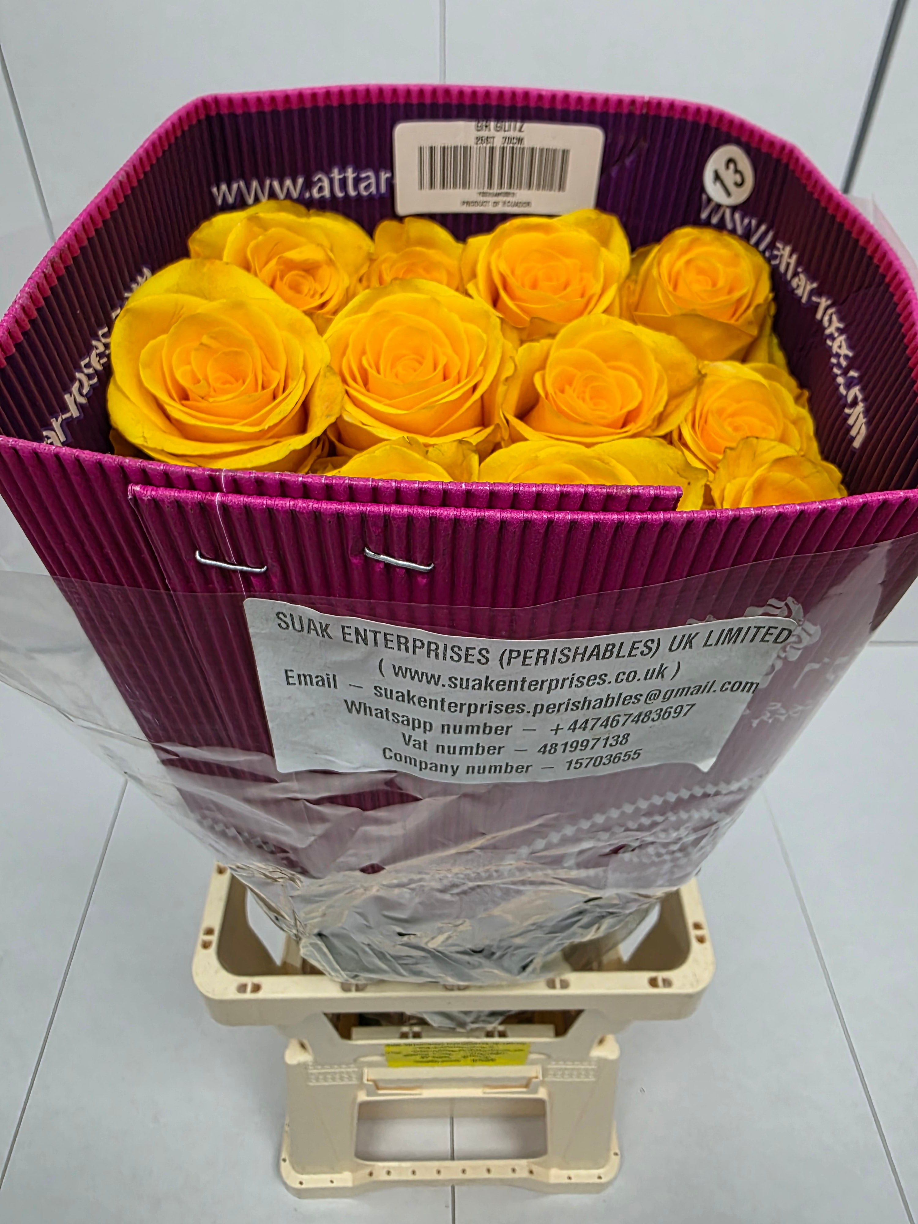 Farm Fresh Rosa Ecuadorian Gr Glitz(Bunch of 25 stems, Length 70cm)