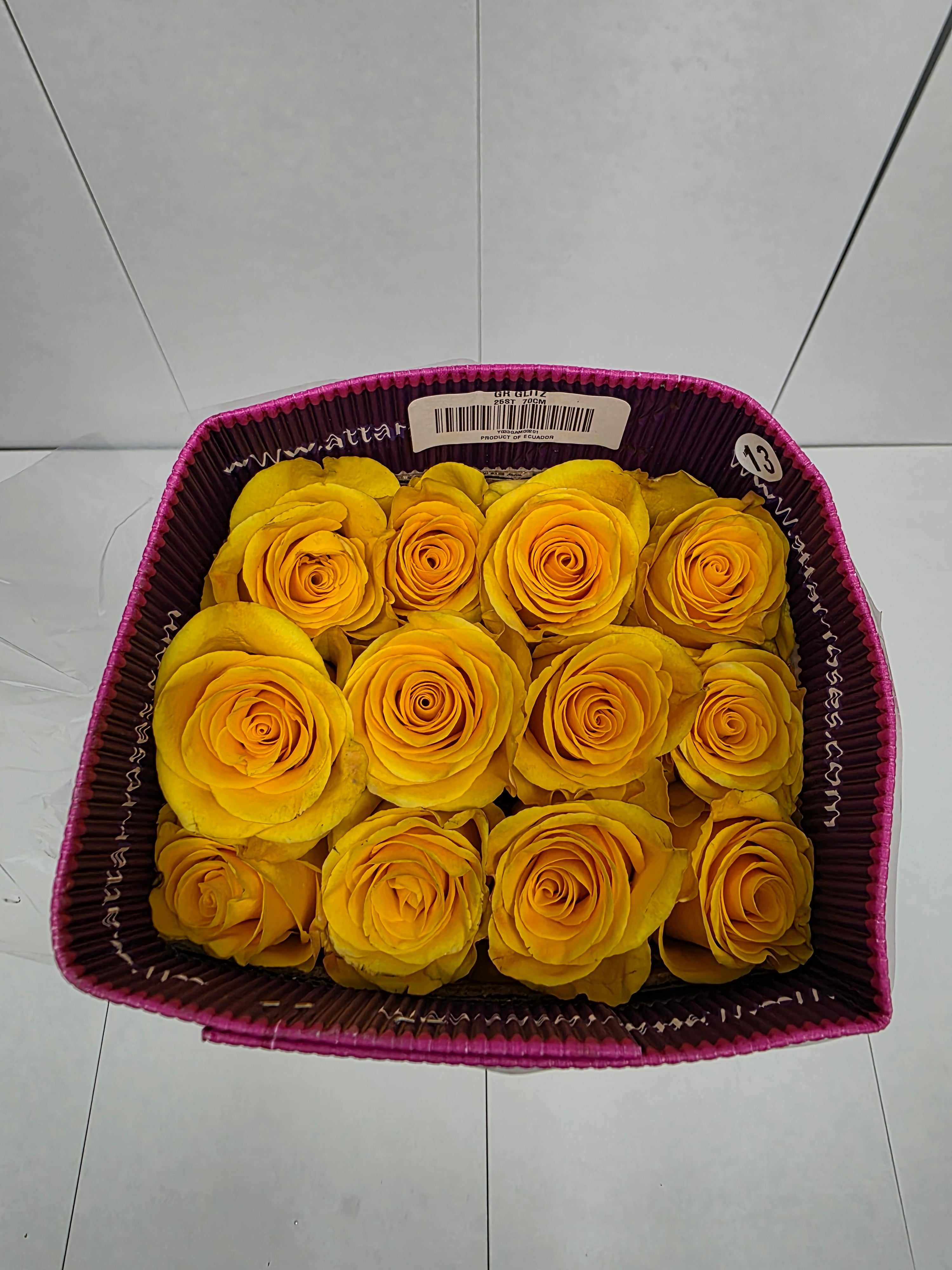 Farm Fresh Rosa Ecuadorian Gr Glitz(Bunch of 25 stems, Length 70cm)