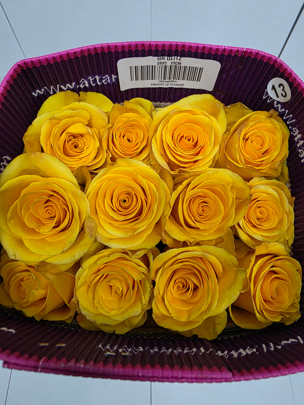 Farm Fresh Rosa Ecuadorian Gr Glitz(Bunch of 25 stems, Length 70cm)