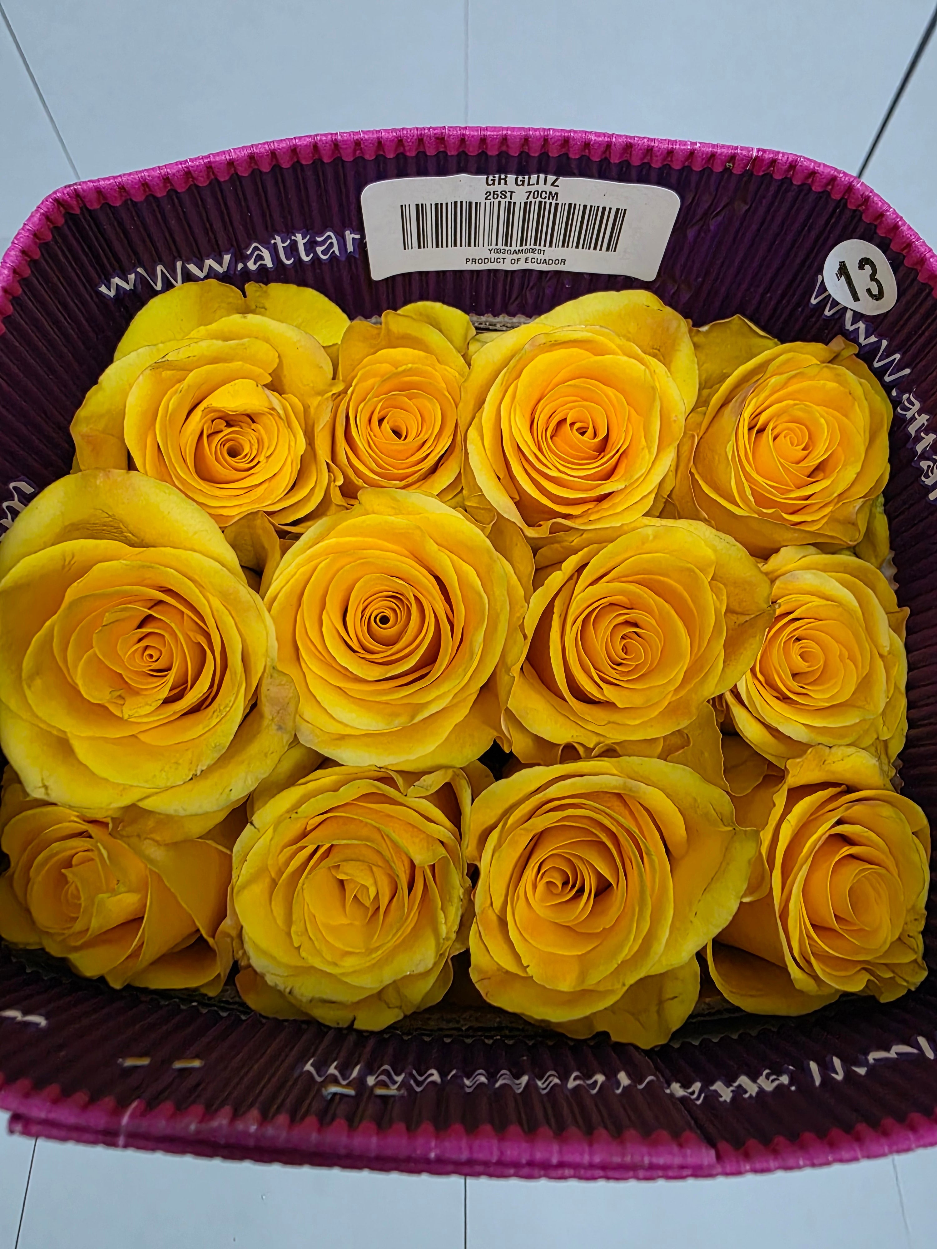 Farm Fresh Rosa Ecuadorian Gr Glitz(Bunch of 25 stems, Length 70cm)