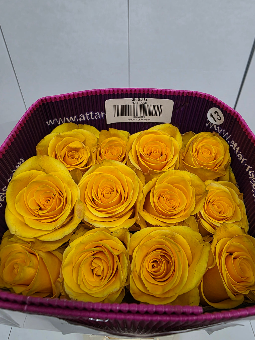 Farm Fresh Rosa Ecuadorian Gr Glitz(Bunch of 25 stems, Length 70cm)