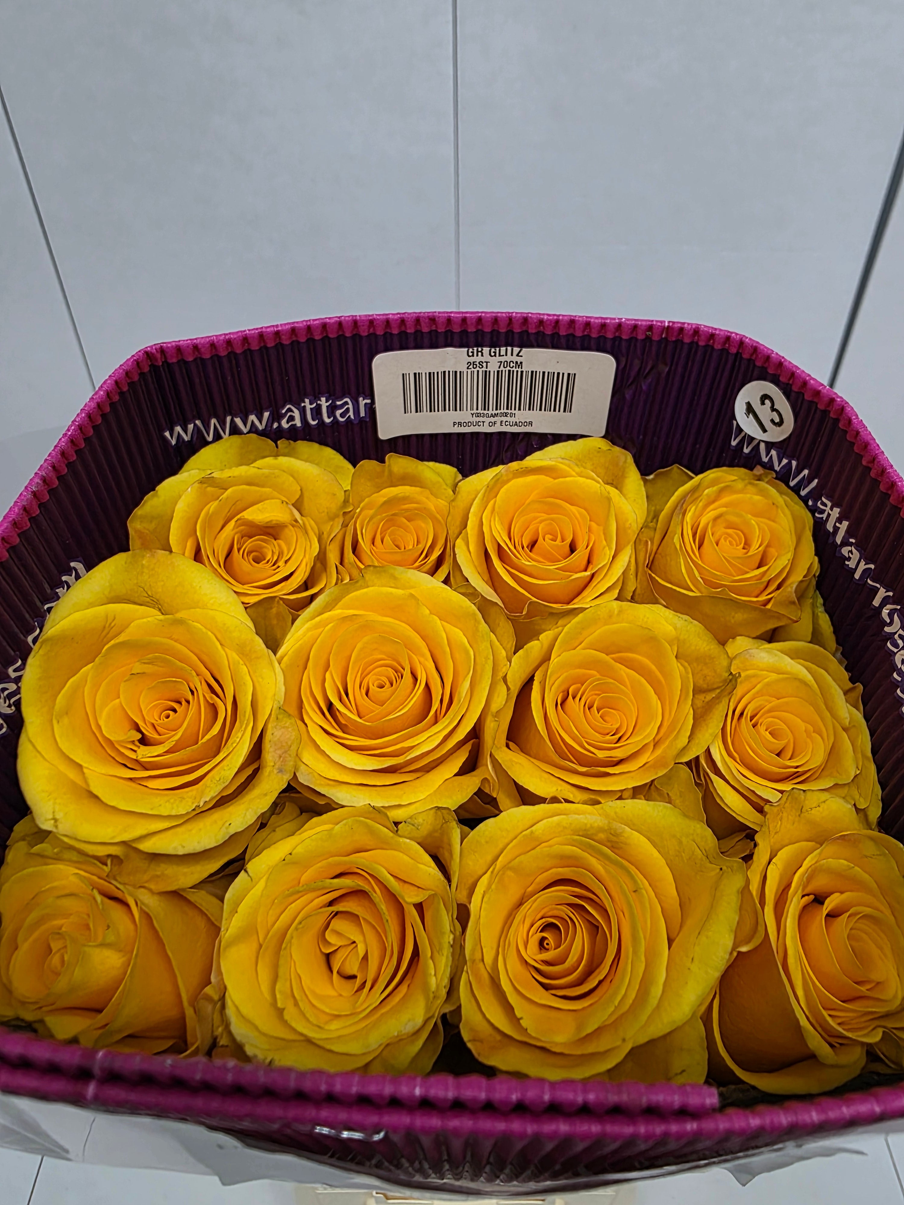 Farm Fresh Rosa Ecuadorian Gr Glitz(Bunch of 25 stems, Length 70cm)