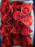 Farm Fresh Rosa Ec Gr Hilux(Bunch of 25 stems, Length 60cm)