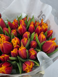 Farm Fresh Tulipa Du Atlas( Bunch of 50stems, Length 38cm)