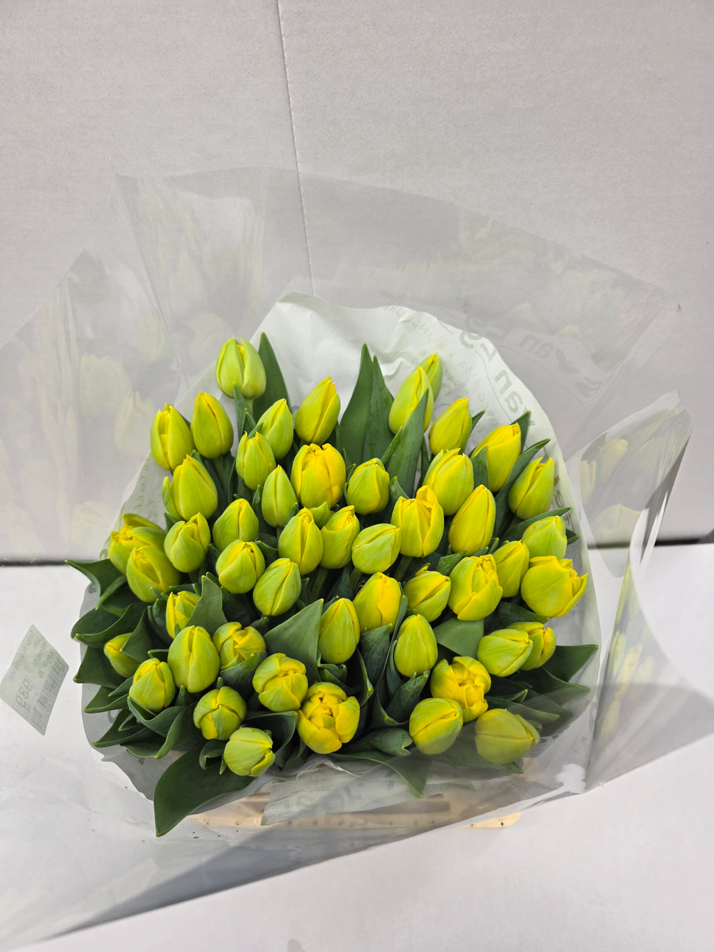Farm Fresh Tulipa Du Double Trouble( Bunch of 50stems, Length 35cm)