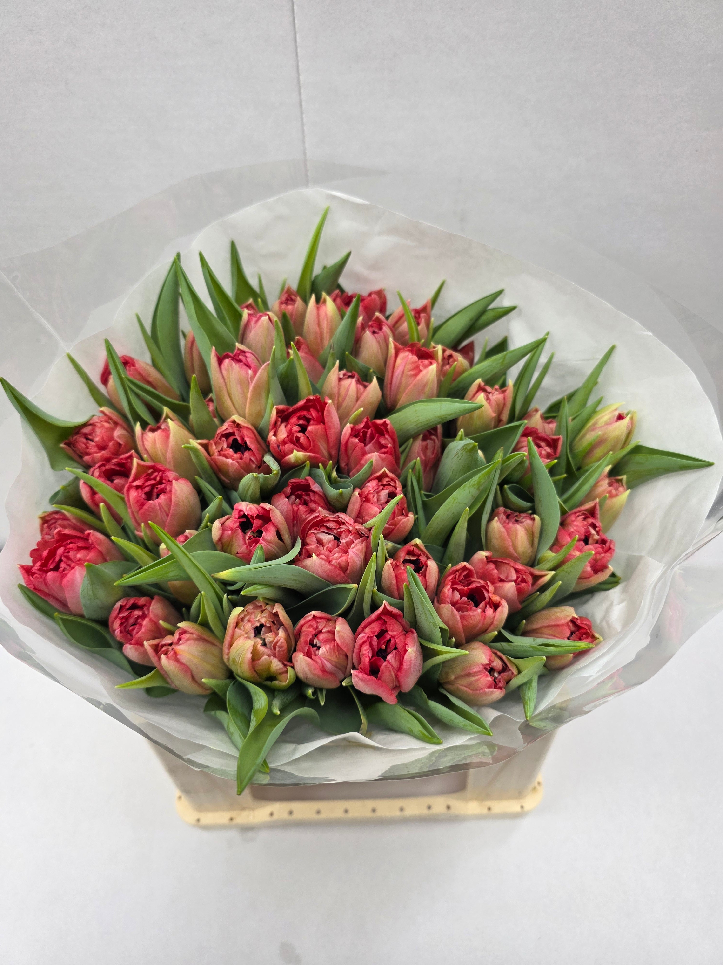 Farm Fresh Tulipa Du Double Twist( Bunch of 50stems, Length 36cm)