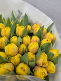 Farm Fresh Tulipa Du Redemption( Bunch of 50stems, Length 36cm)