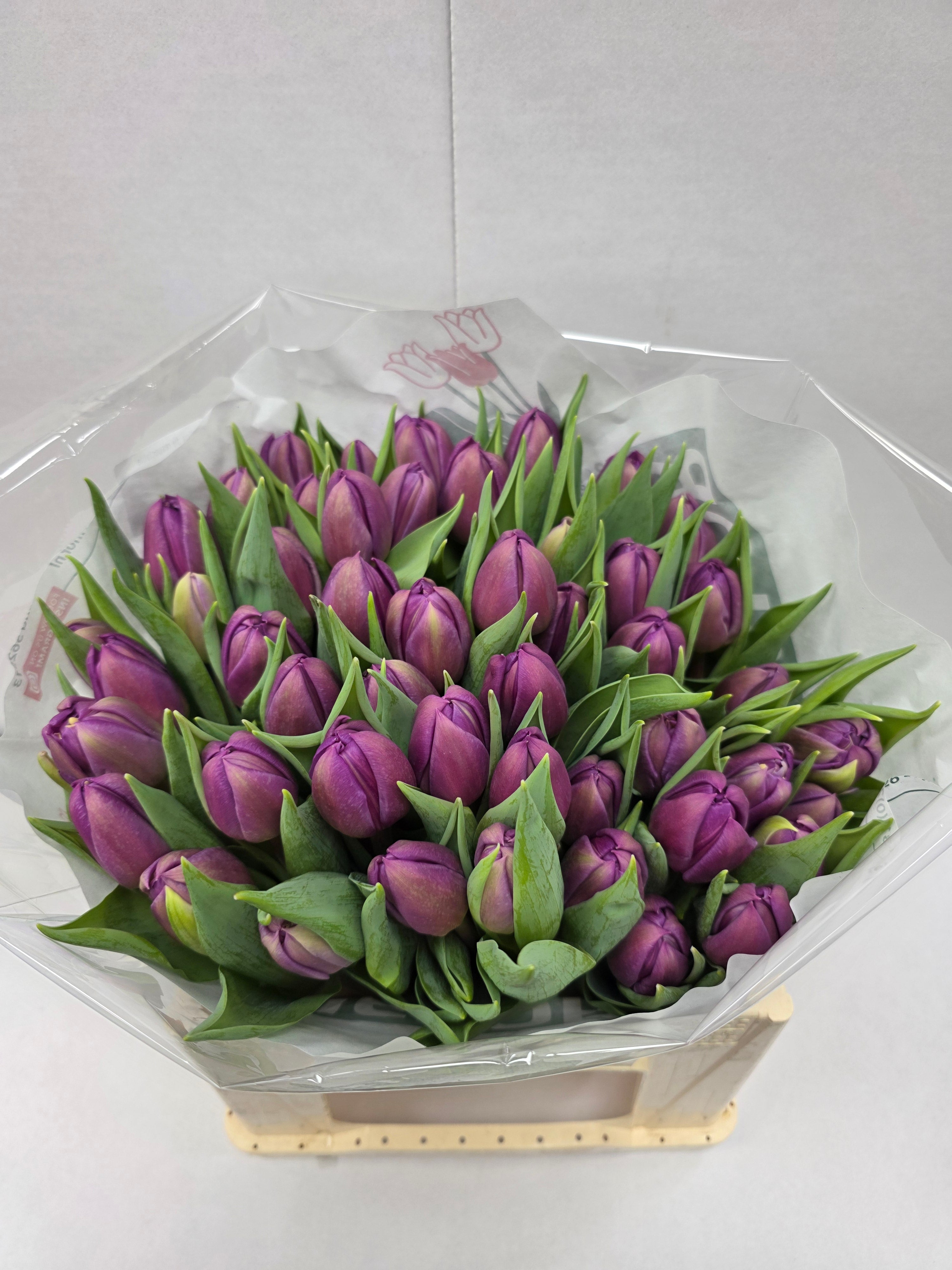 Farm Fresh Tulipa Du Respectable( Bunch of 50stems, Length 35cm)