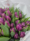 Farm Fresh Tulipa Du Respectable( Bunch of 50stems, Length 35cm)