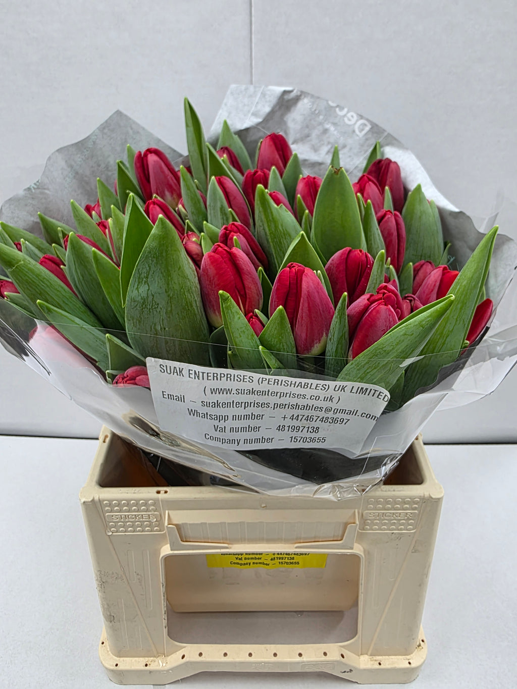 Farm Fresh Tulipa En Antartica Fire ( Bunch of 50stems, Length 38cm)