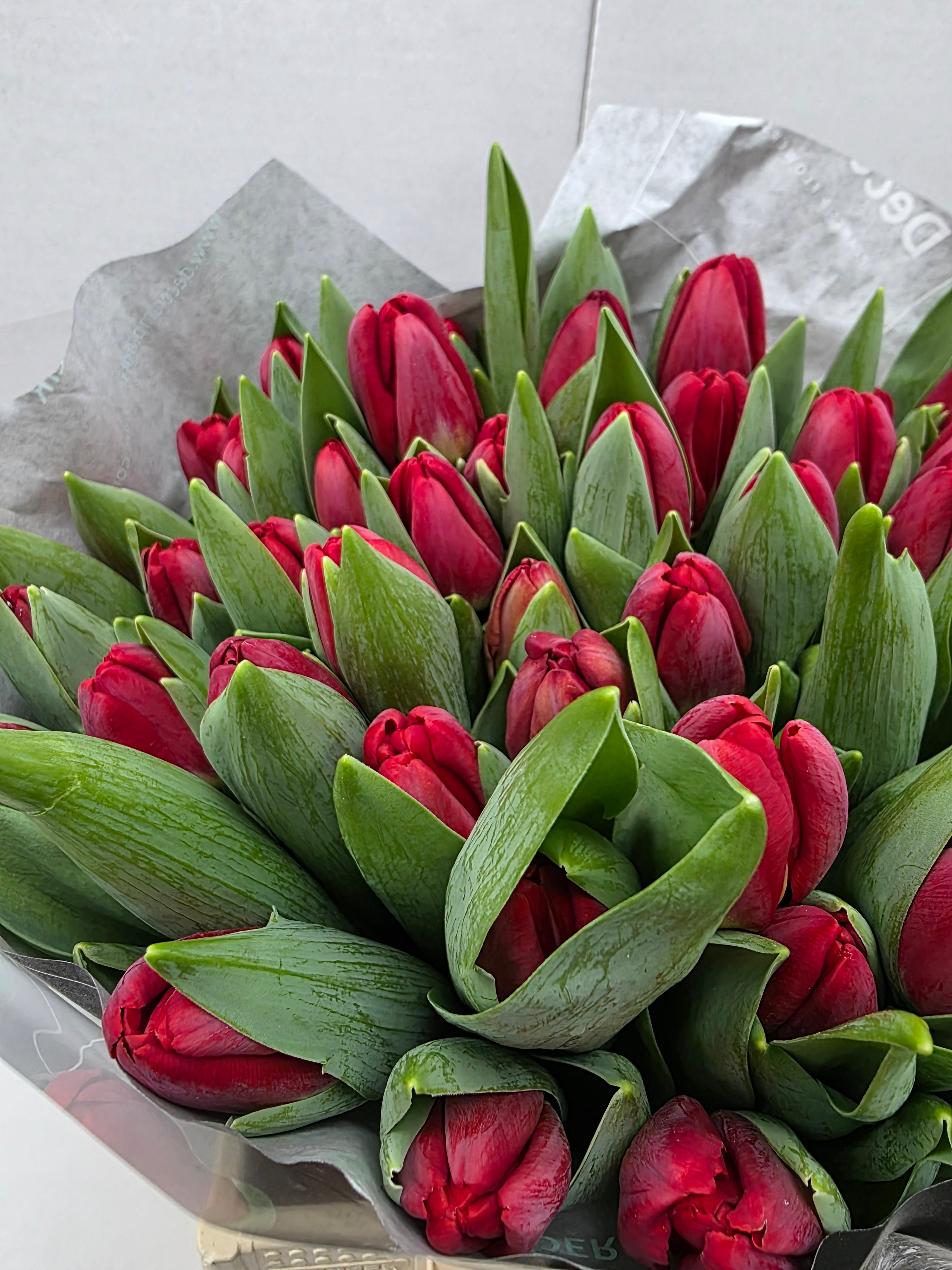 Farm Fresh Tulipa En Antartica Fire ( Bunch of 50stems, Length 38cm)
