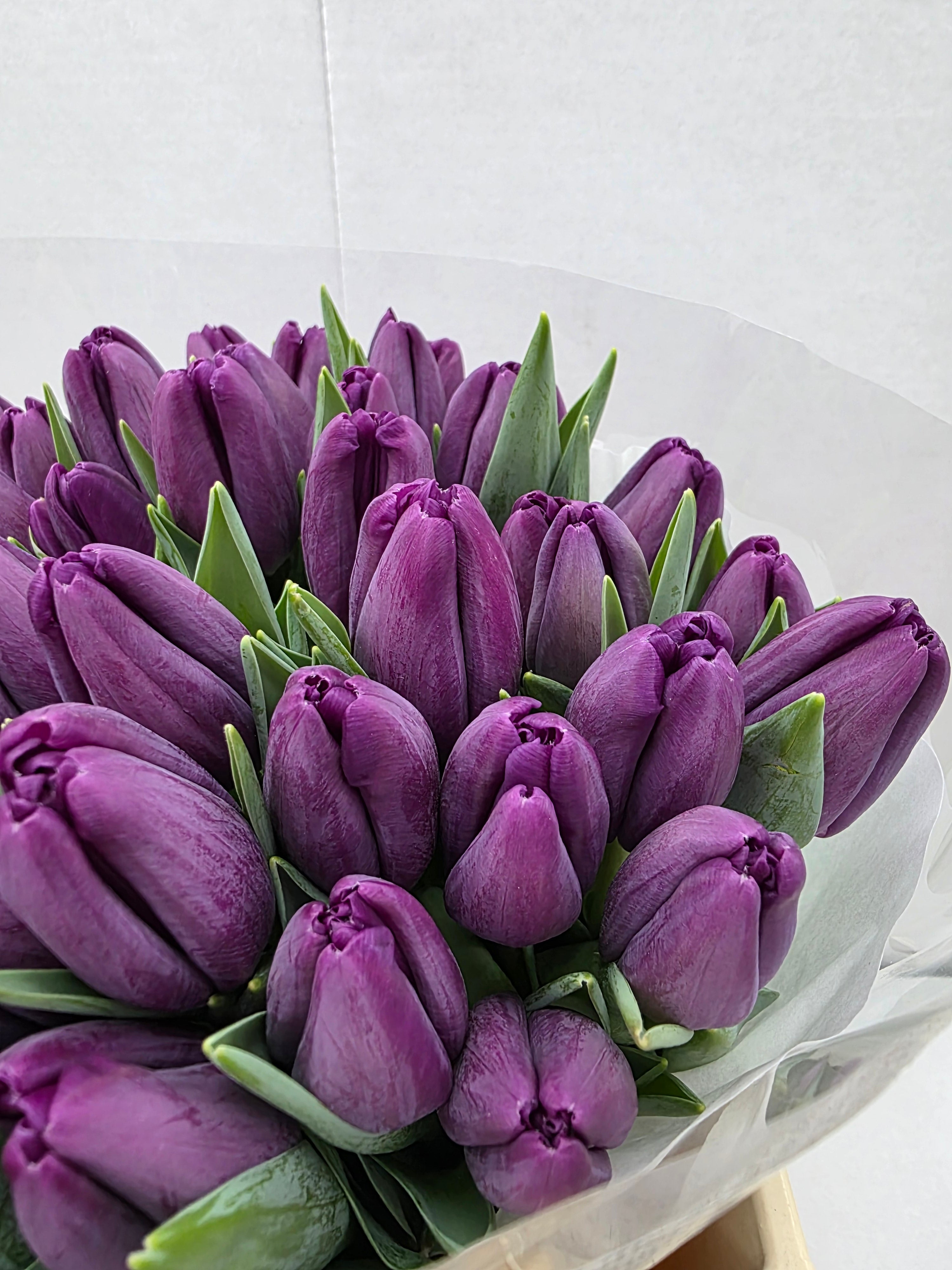 Farm Fresh Tulipa En Built ( Bunch of 50stems, Length 36cm)