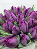 Farm Fresh Tulipa En Built ( Bunch of 50stems, Length 36cm)