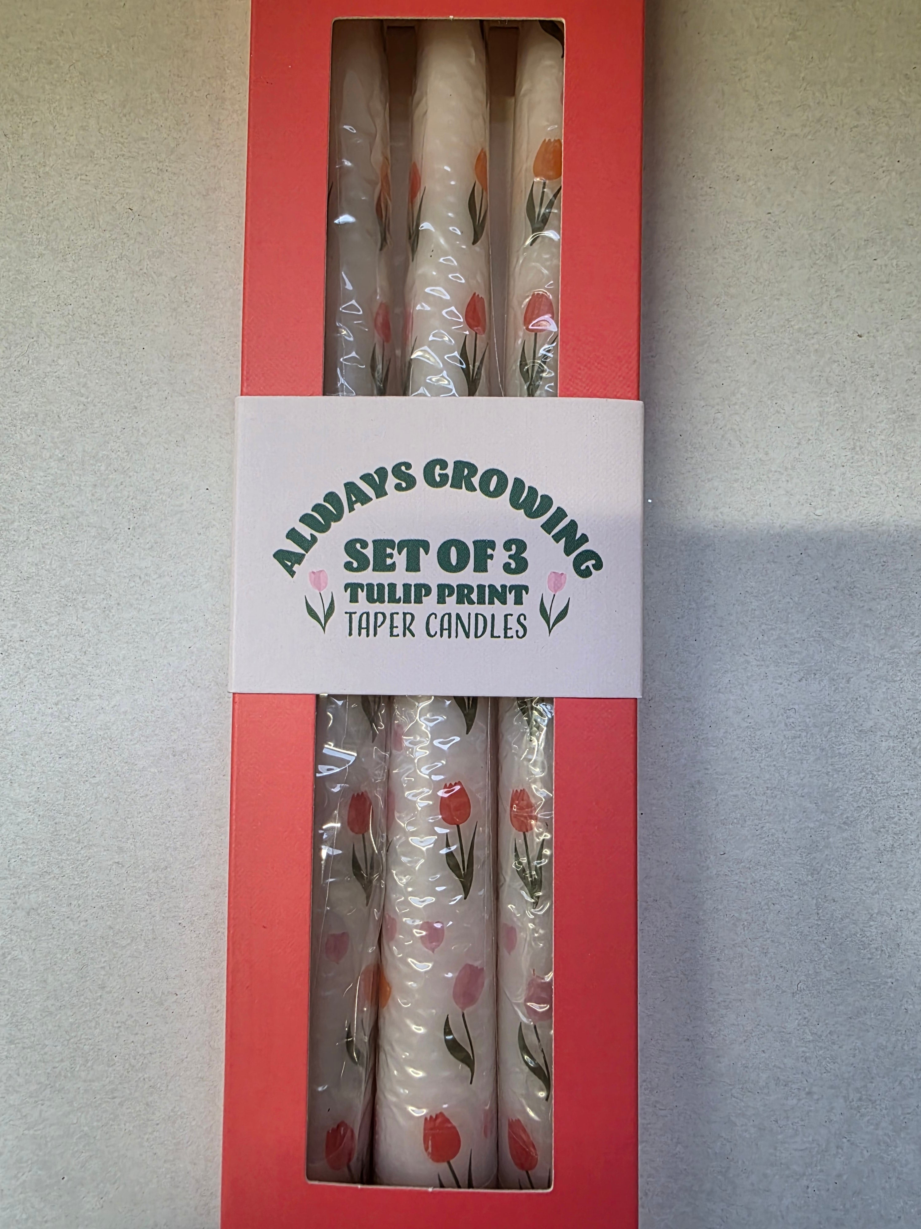 Candle Tapered Set Of 3 Tulips 26x2cm (pack of 2)