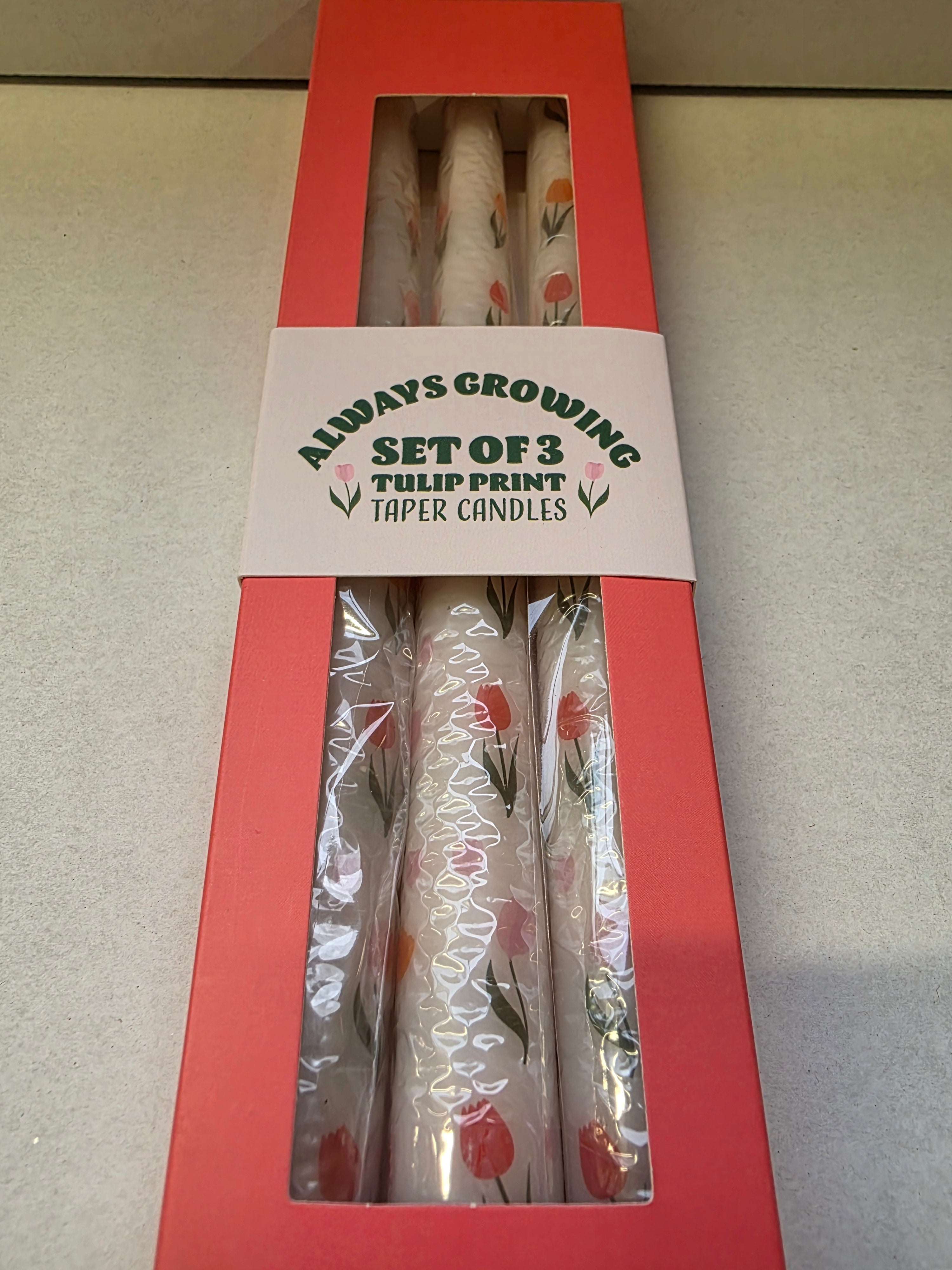Candle Tapered Set Of 3 Tulips 26x2cm (pack of 2)
