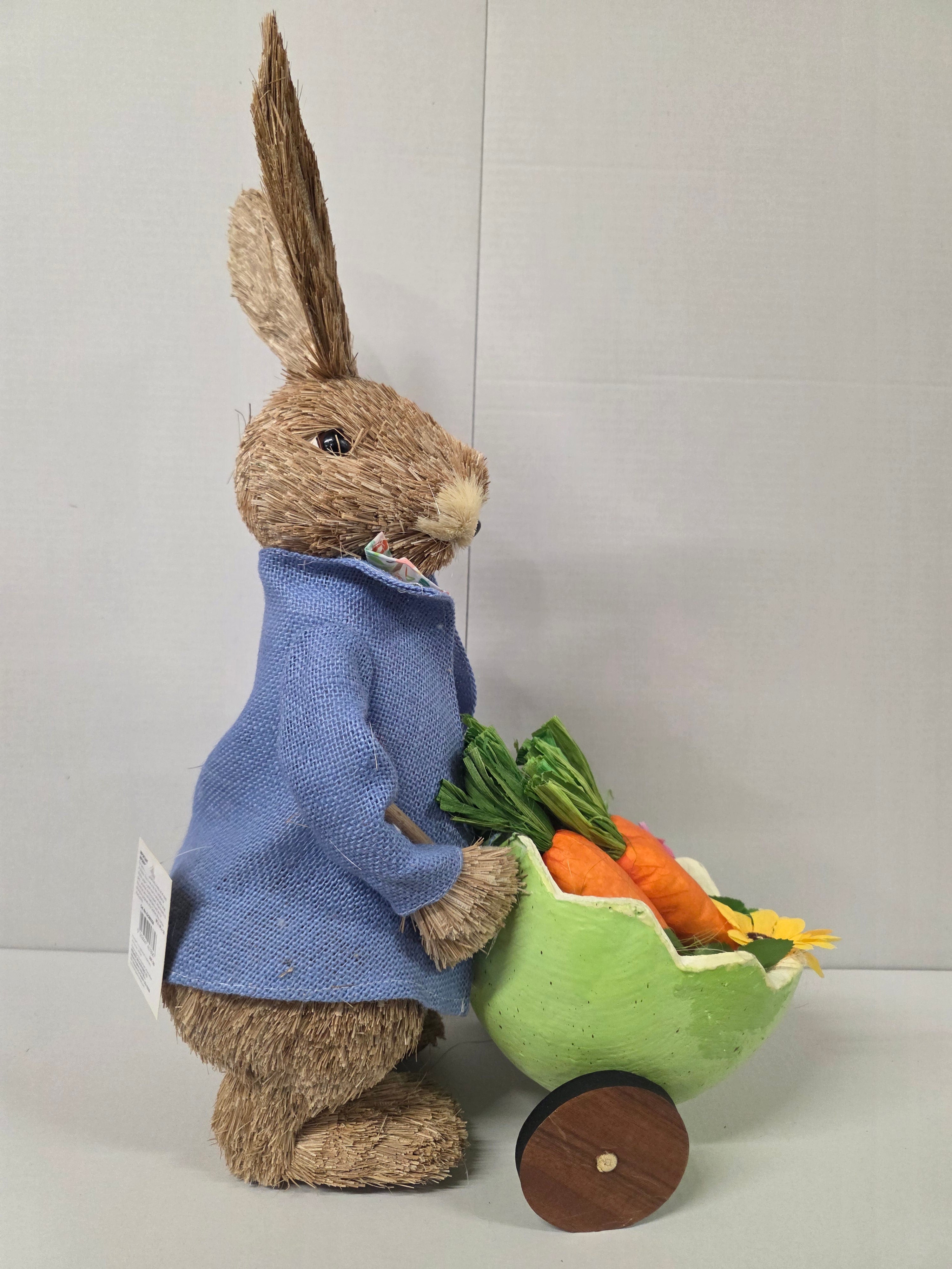 Bunny Alfie In Blue Jacket & Carrots 53cm