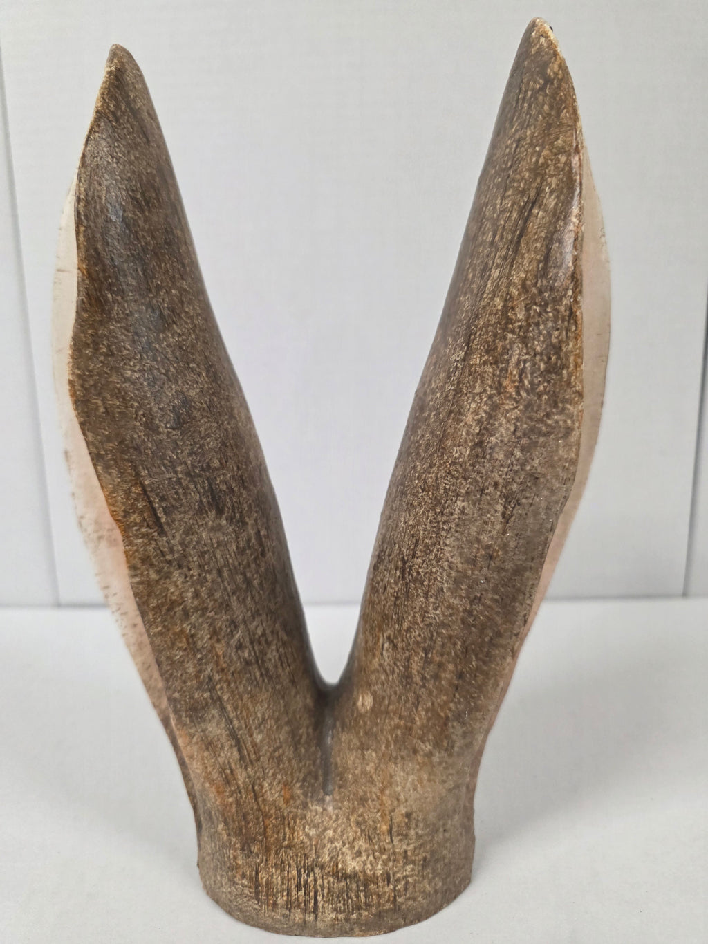 Bunny Ears Brown 27x19x7cm
