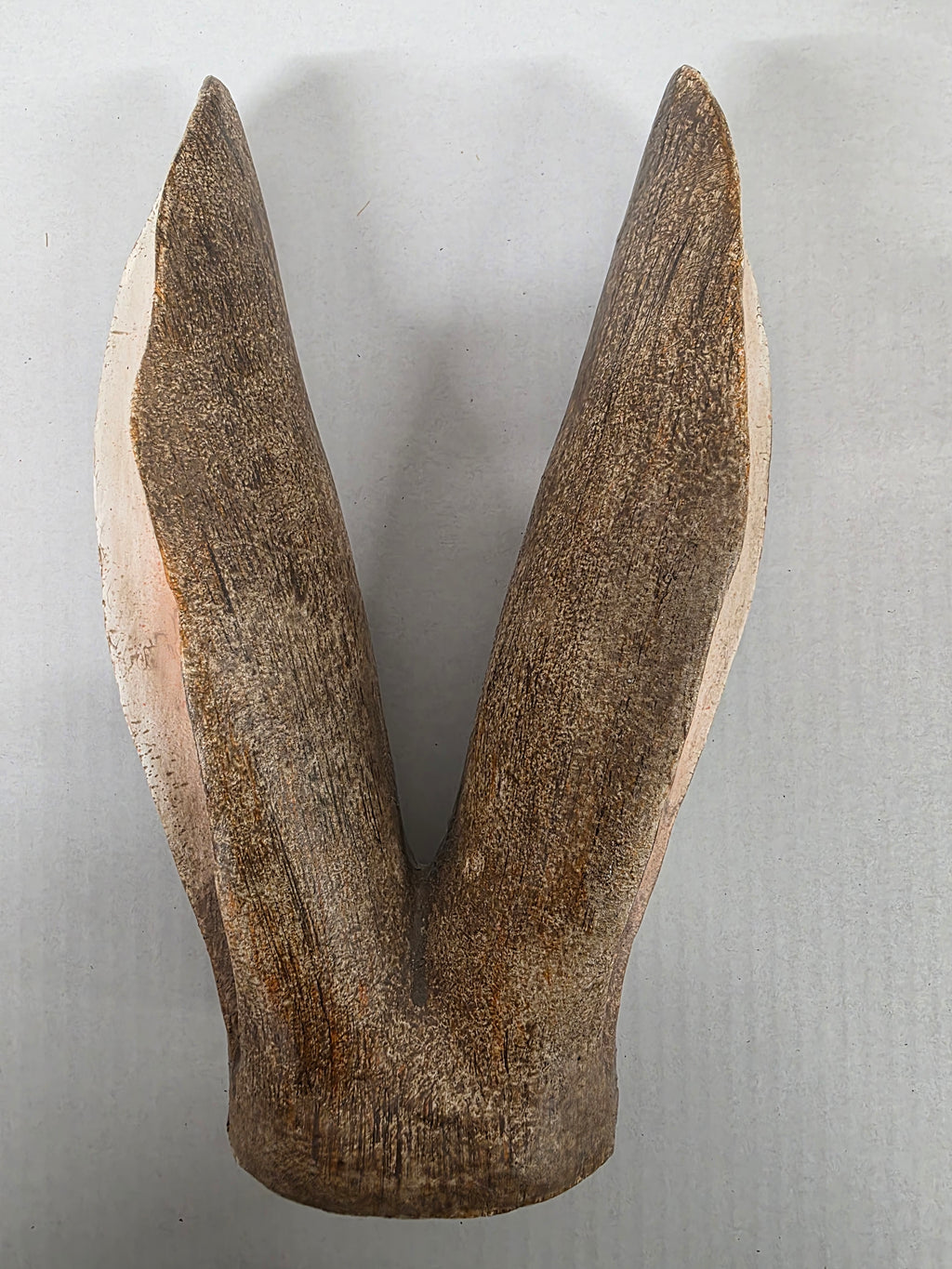 Bunny Ears Brown 27x19x7cm