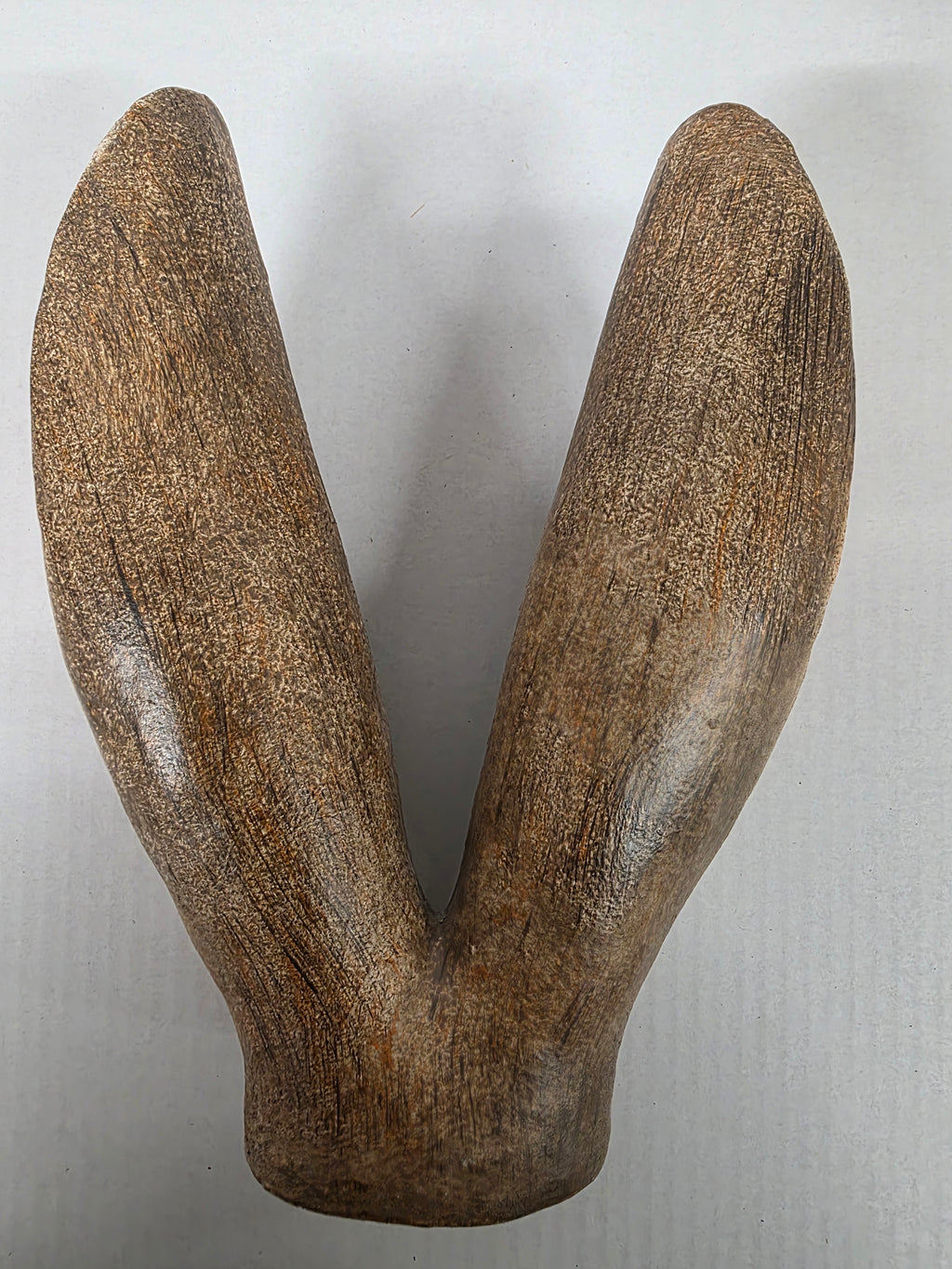 Bunny Ears Brown 27x19x7cm