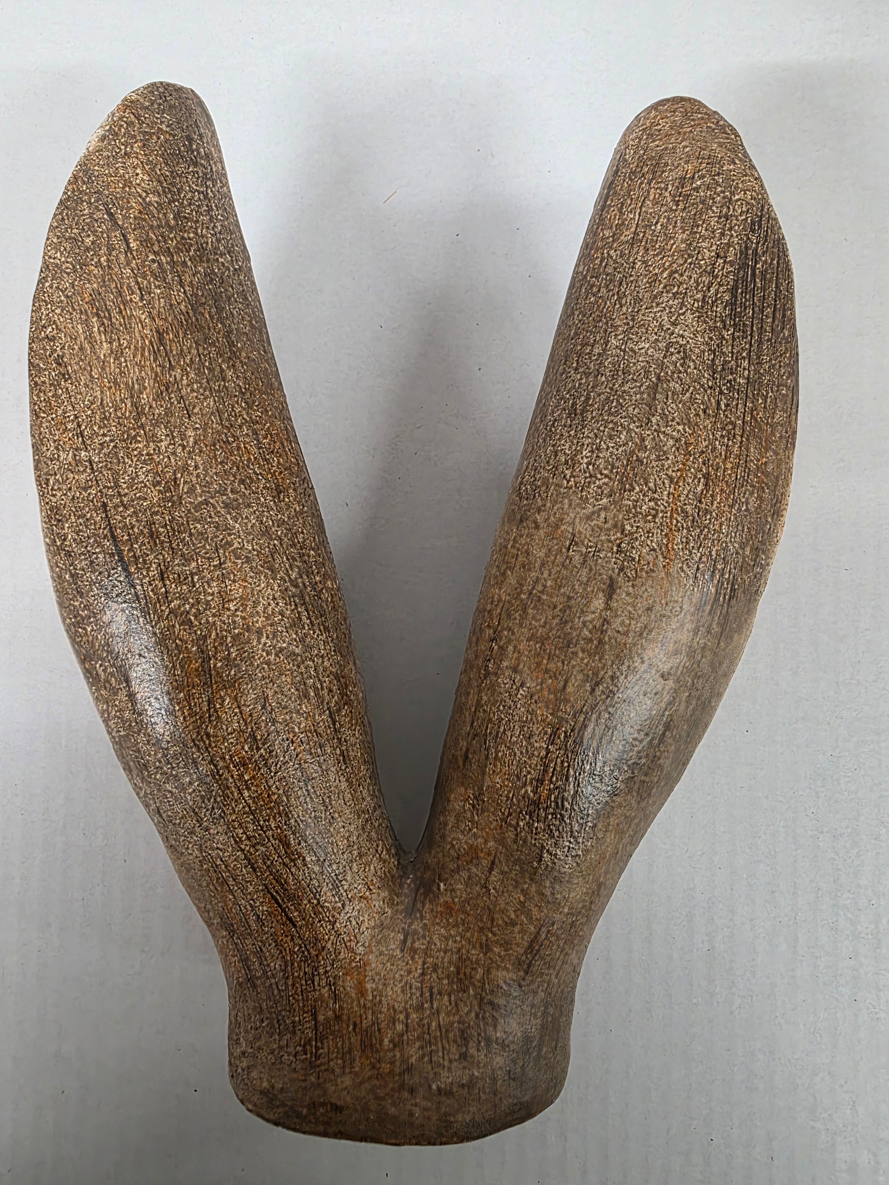 Bunny Ears Brown 27x19x7cm