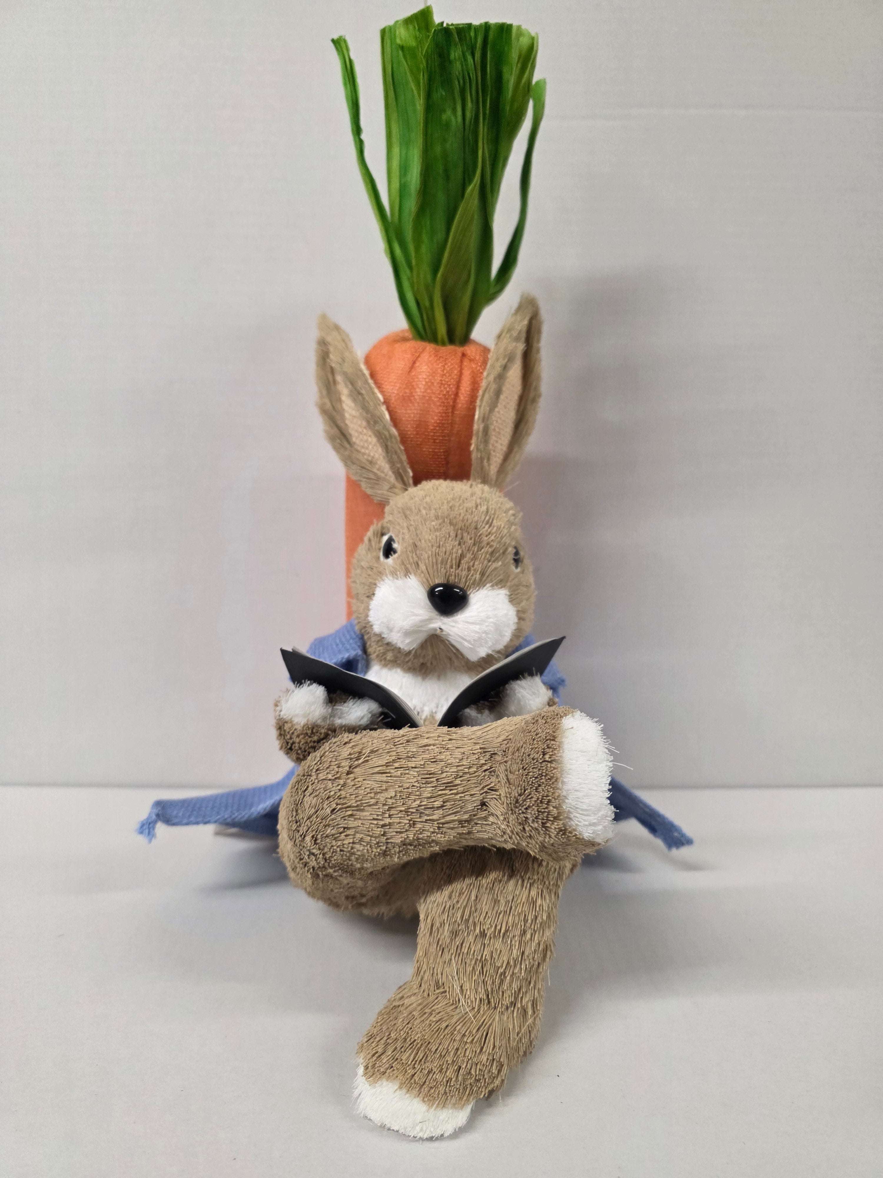 Bunny Rory Reading Book 30cm