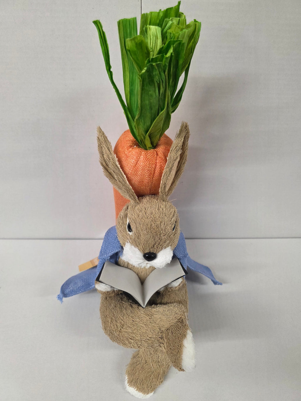 Bunny Rory Reading Book 30cm