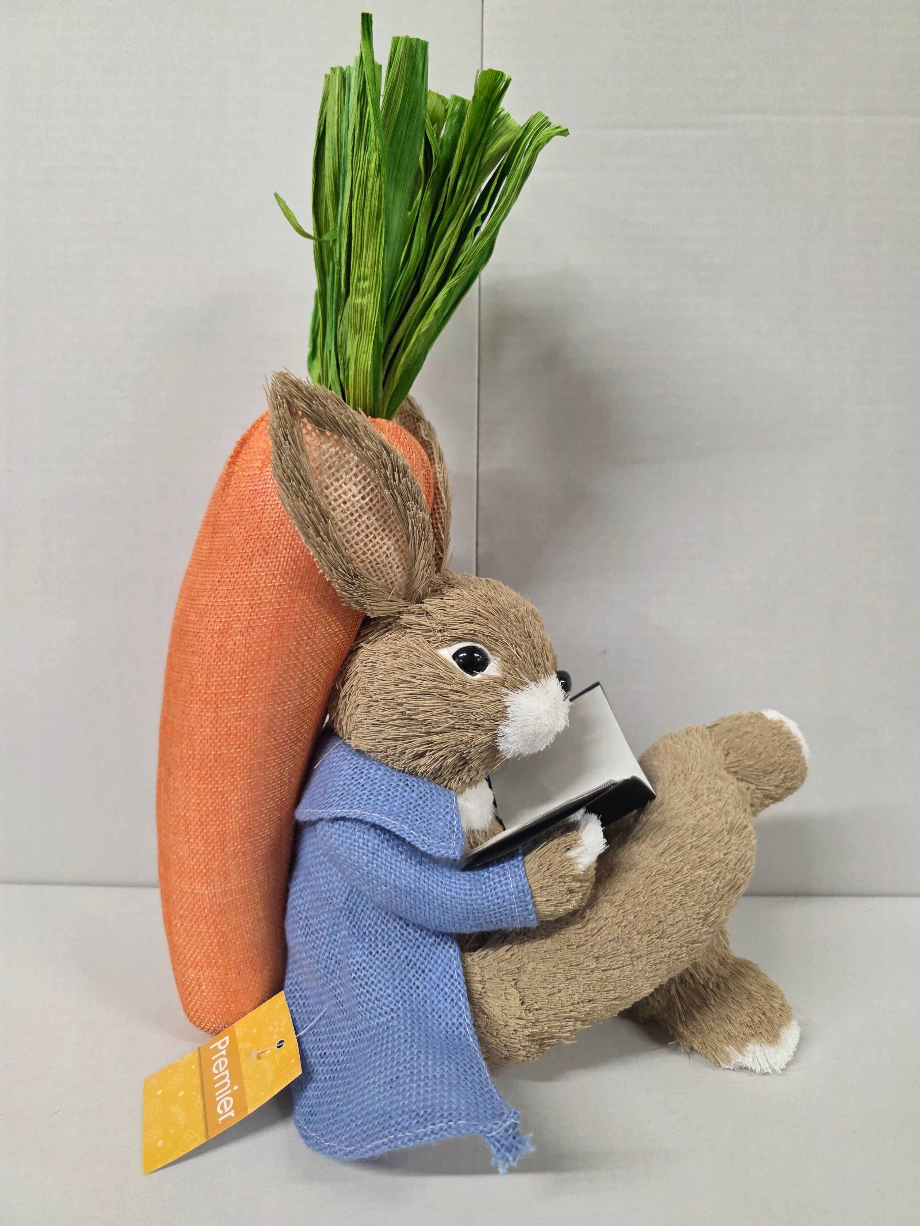 Bunny Rory Reading Book 30cm