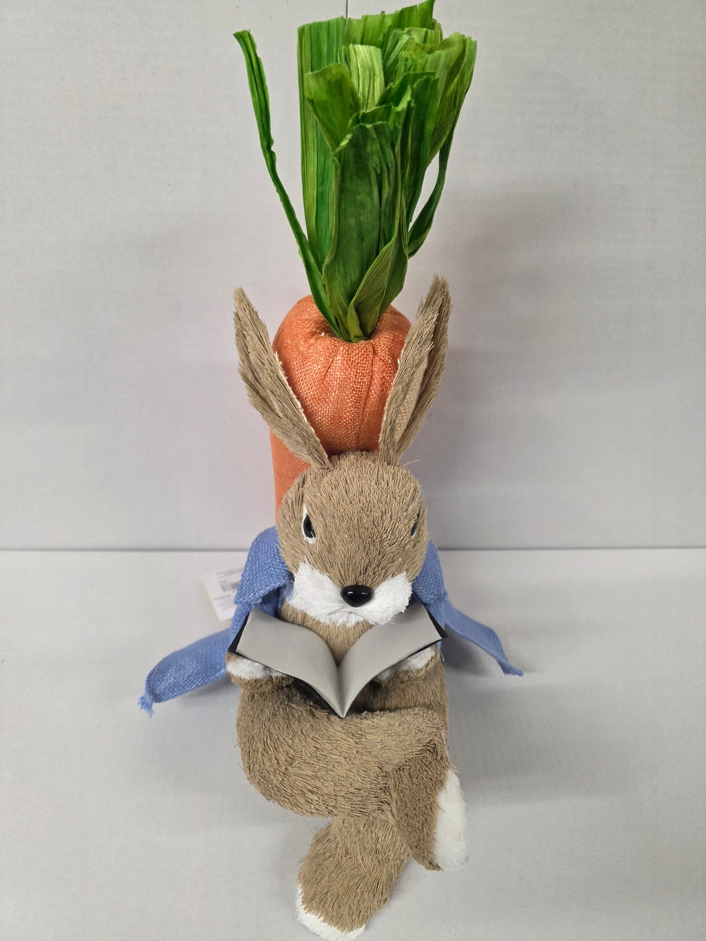 Bunny Rory Reading Book 30cm