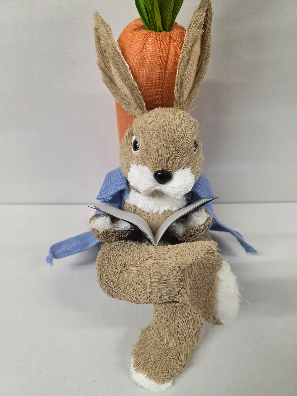 Bunny Rory Reading Book 30cm