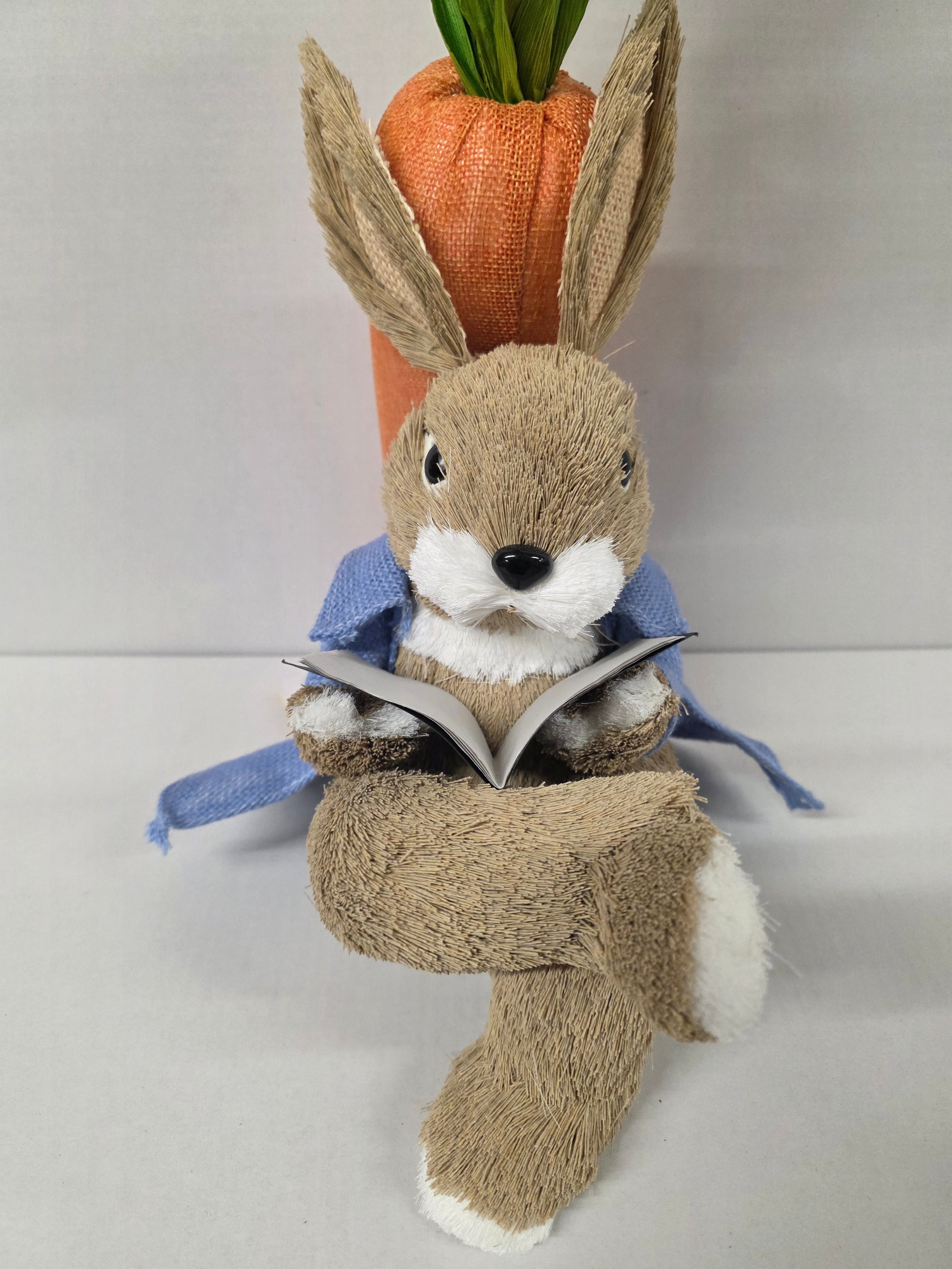 Bunny Rory Reading Book 30cm
