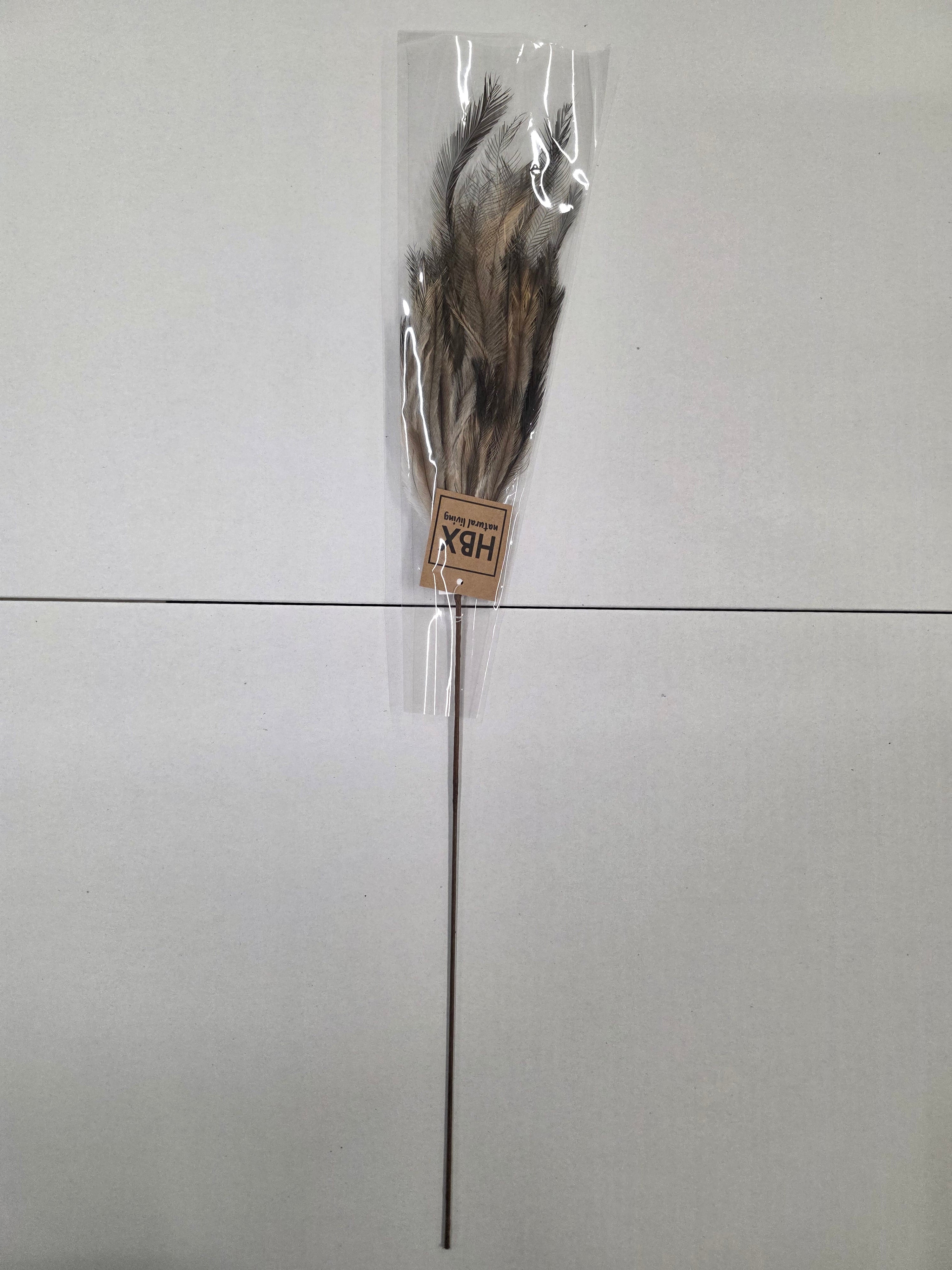 Feather Stem Hen Fontain 60x18cm (PACK OF 4)